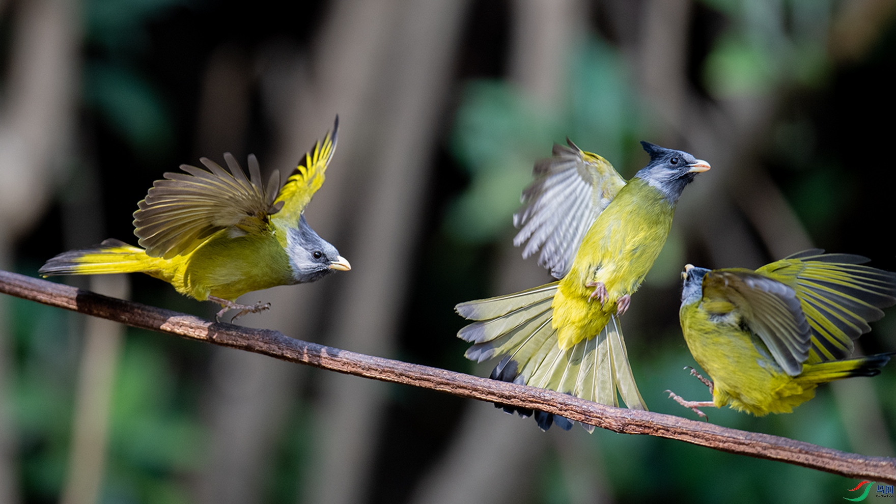 DSC_0650.jpg