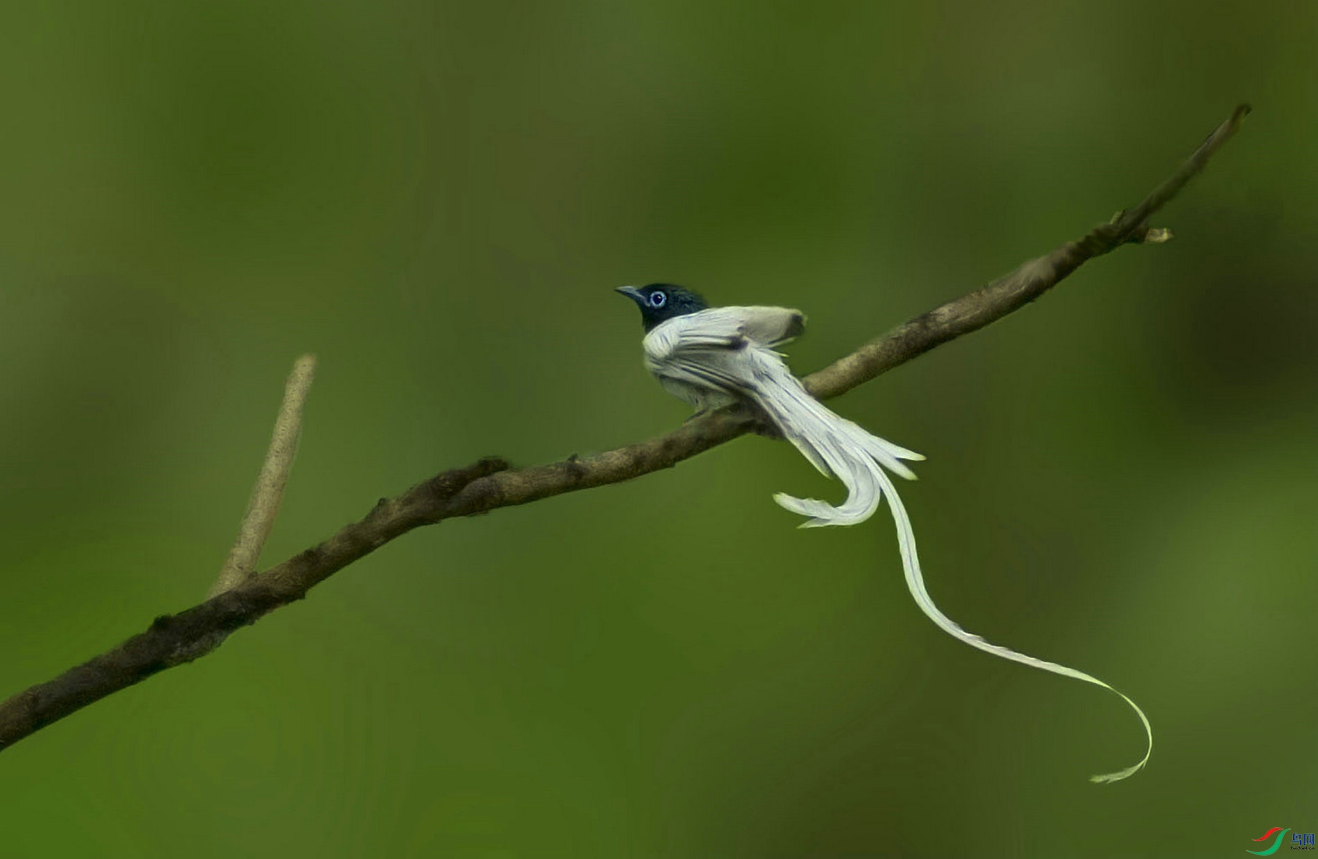 DSC_5879_����.jpg