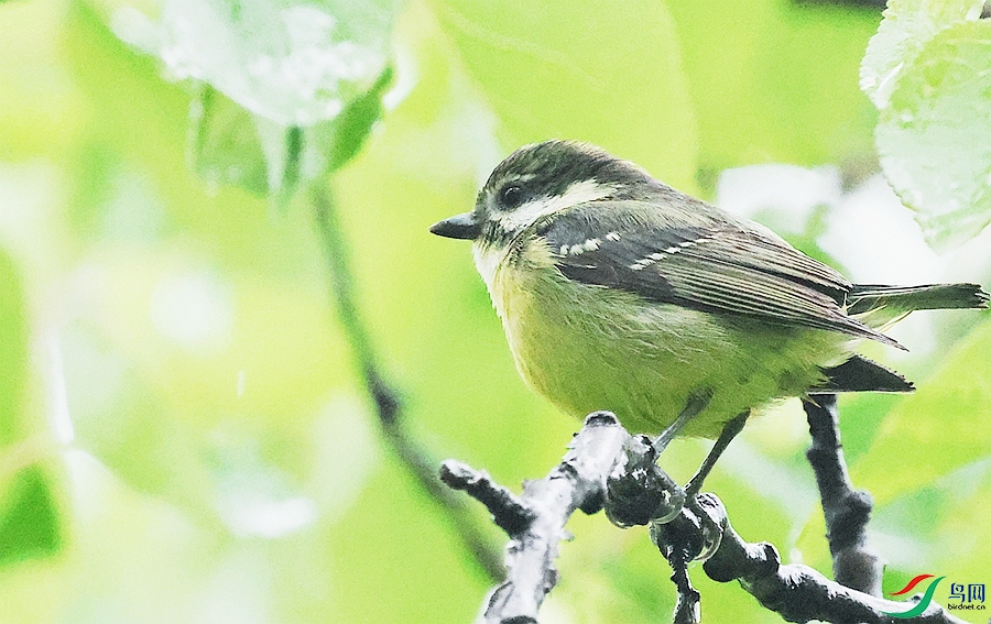 1P3A8700.JPG