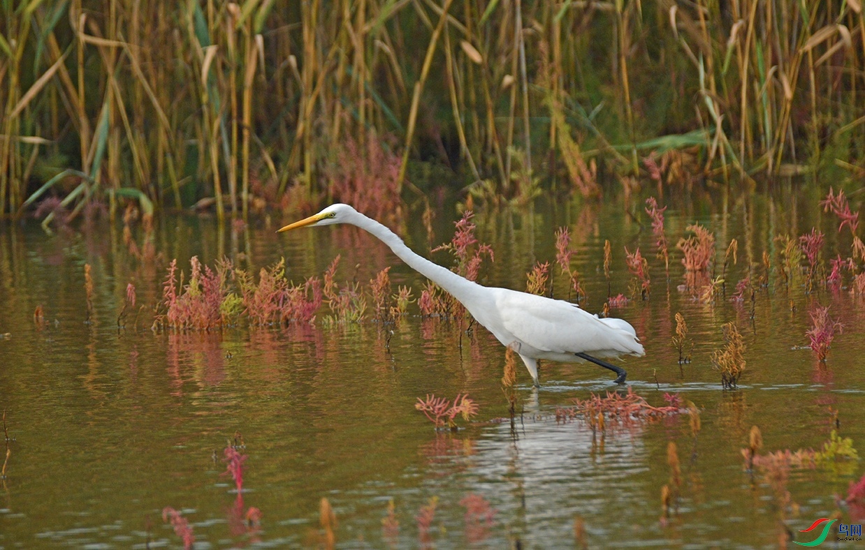 DSC_0057.jpg