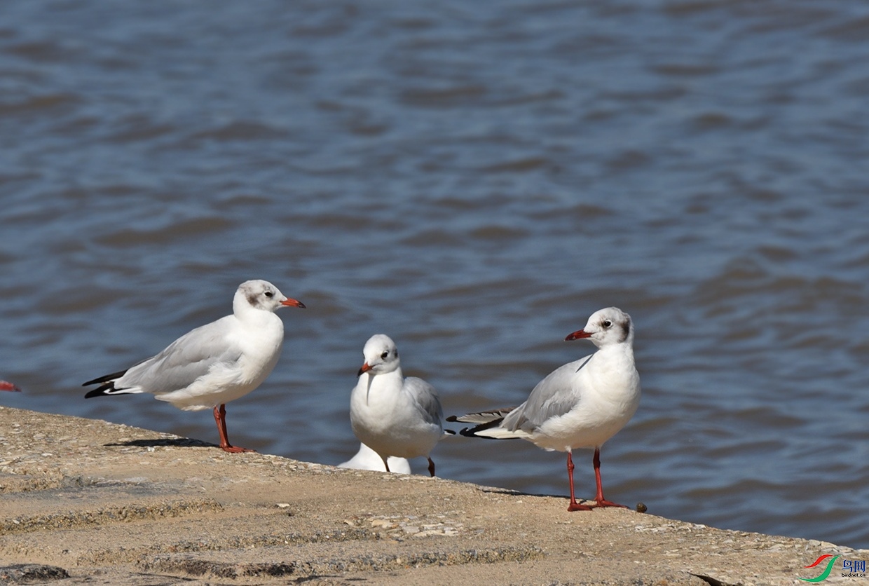 DSC_5139.jpg