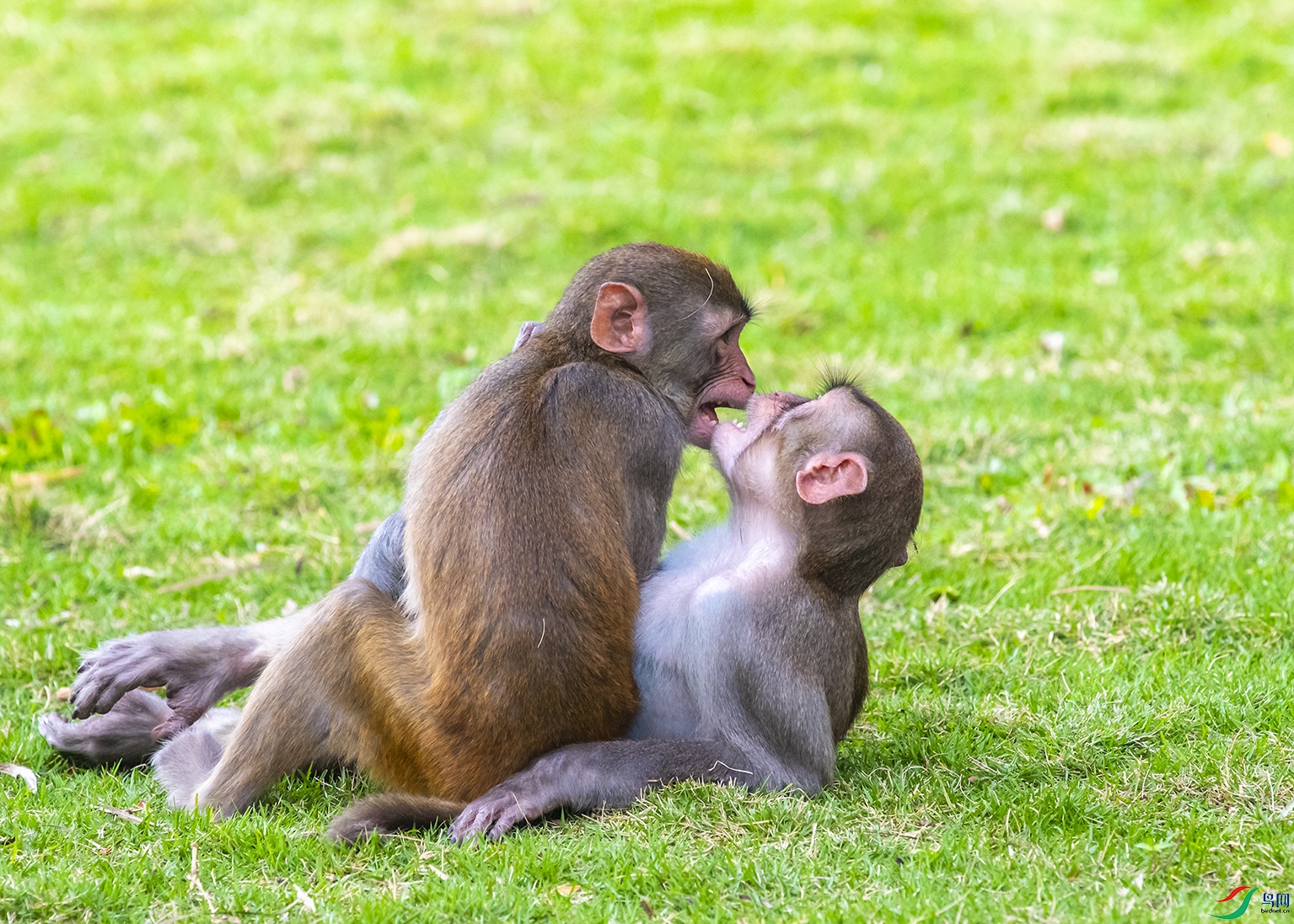 5312 ����.jpg