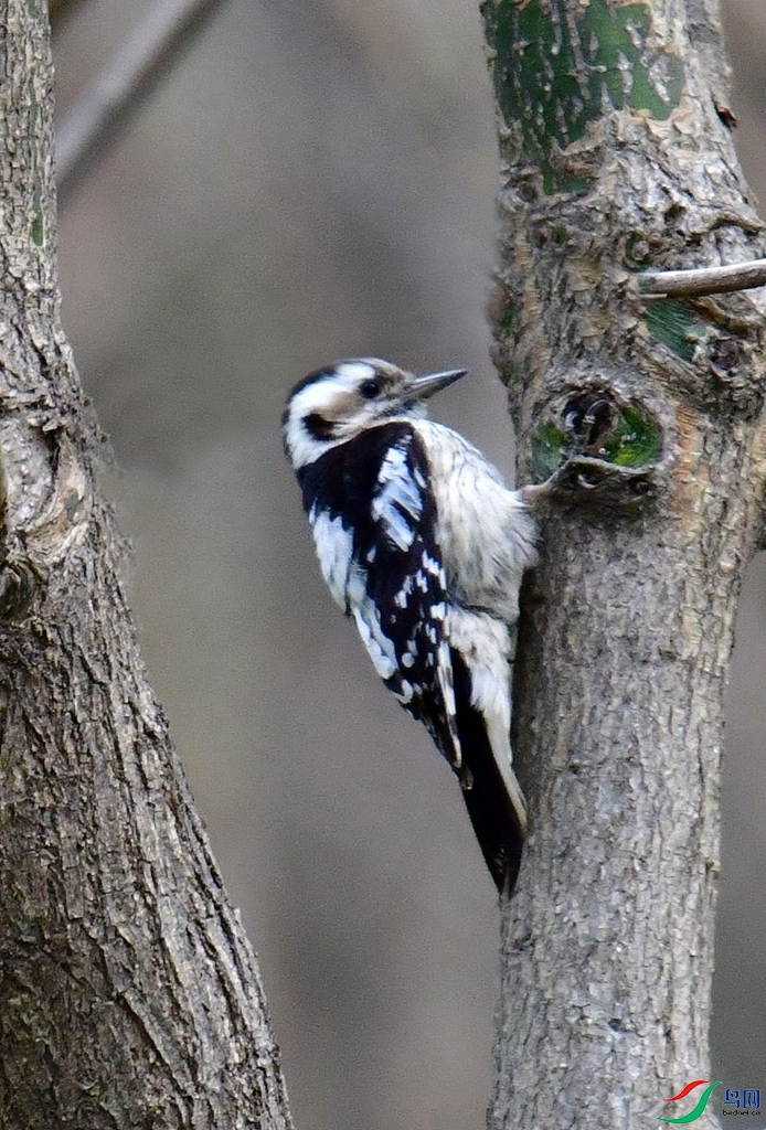 DSC_3570.jpg