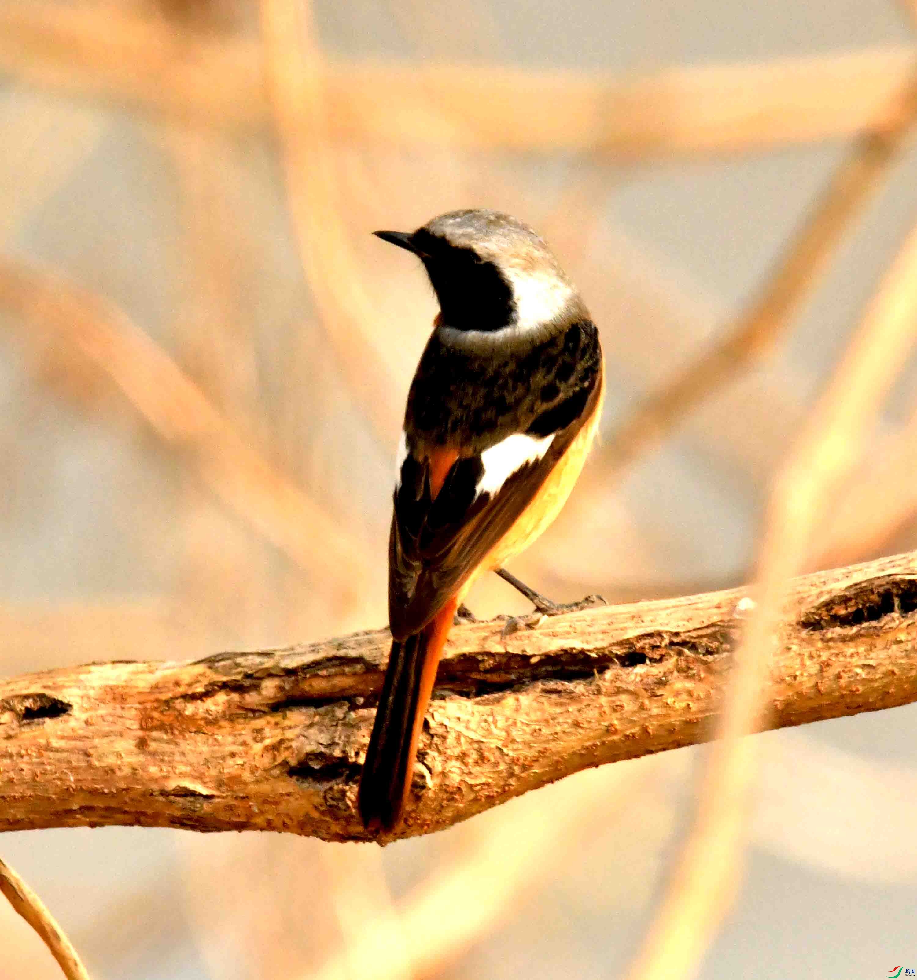 DSC_2908.JPG
