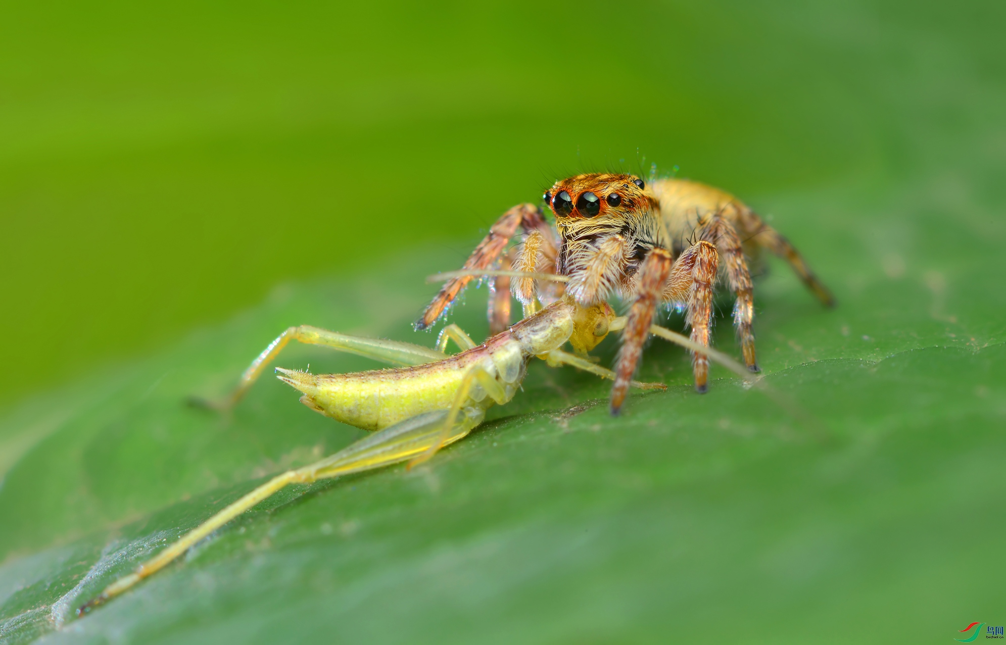 DSC_3372.JPG
