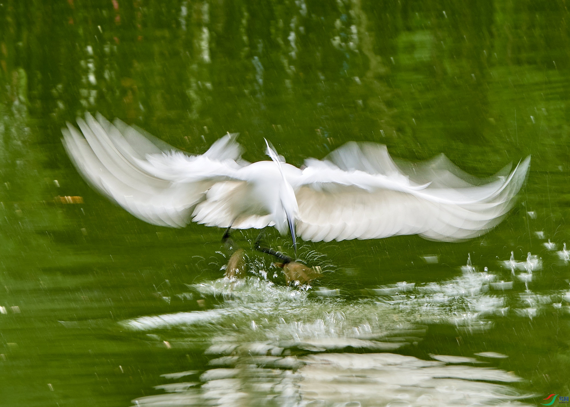 DSC_8678.jpg
