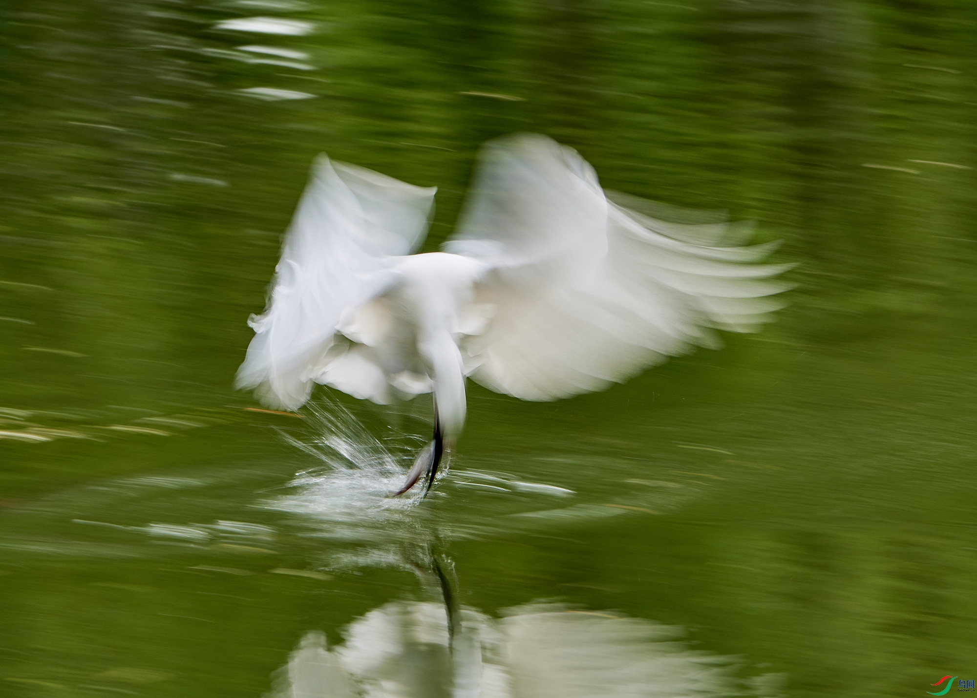 DSC_7813.jpg