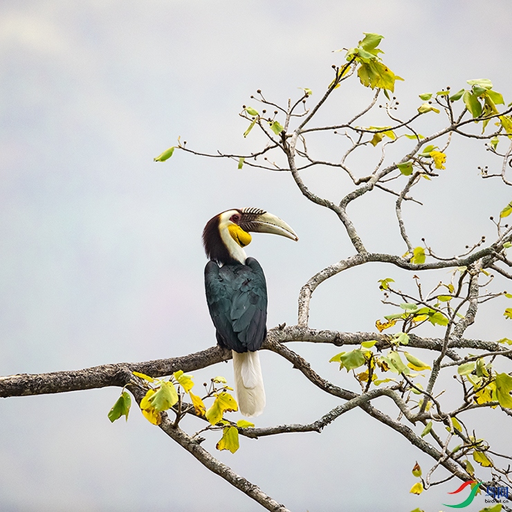 A46I3292 ����.psd33.jpg