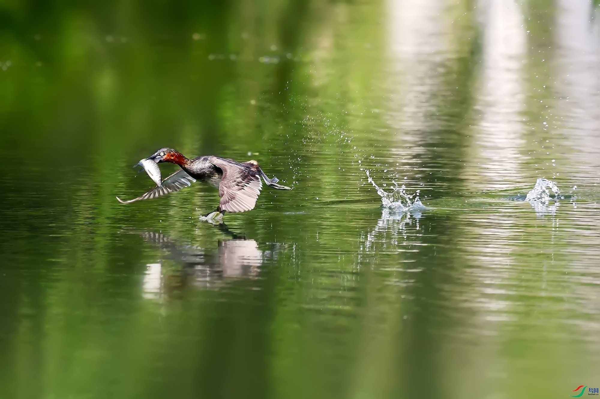 DSC_6025.jpg