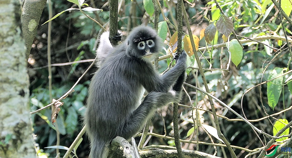 ����2023-04-23 ����2.02.15-9.jpg