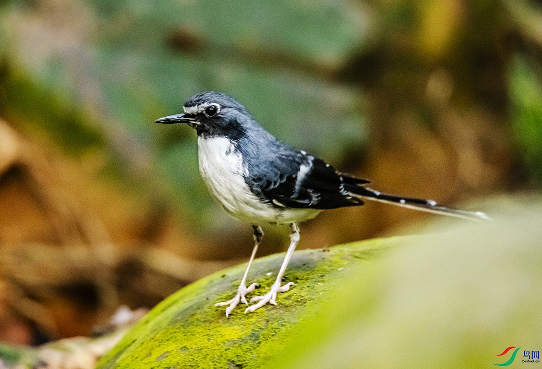 DSC_2107.jpg
