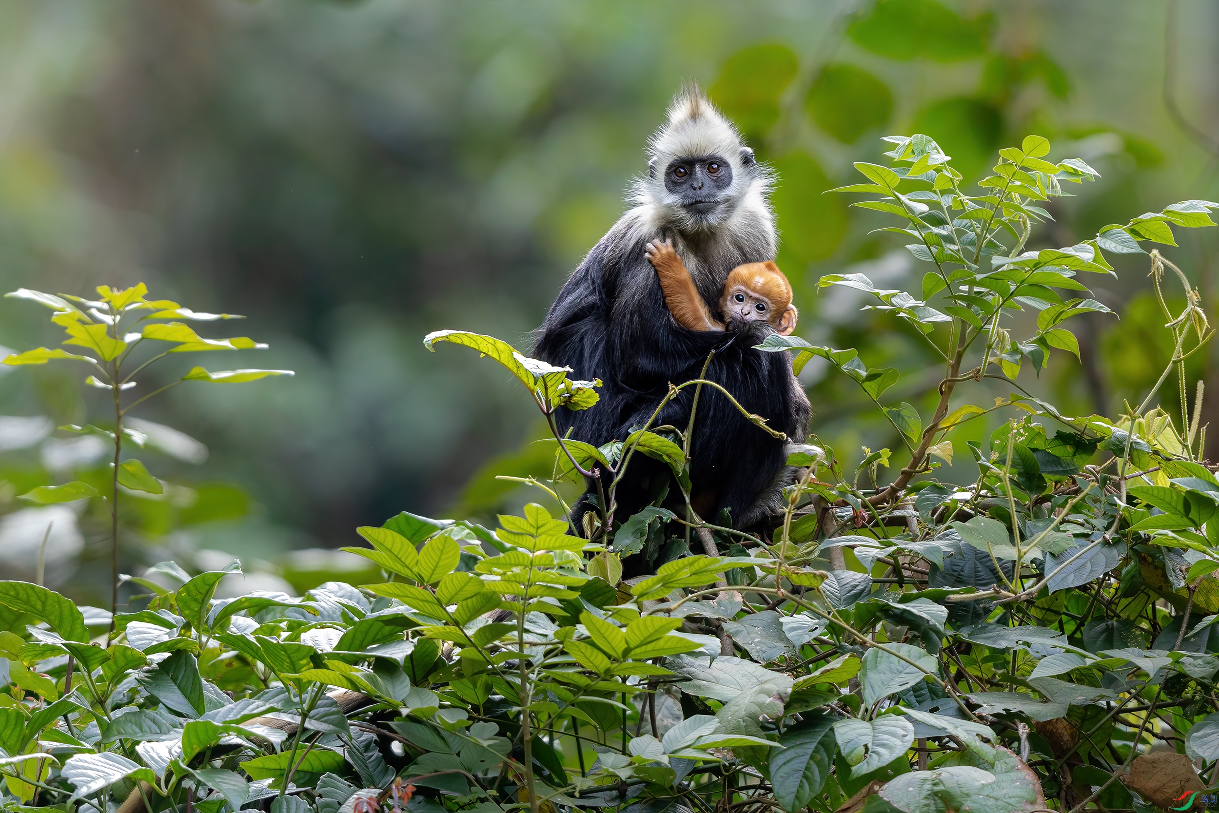 3S5A7949- ����.jpg