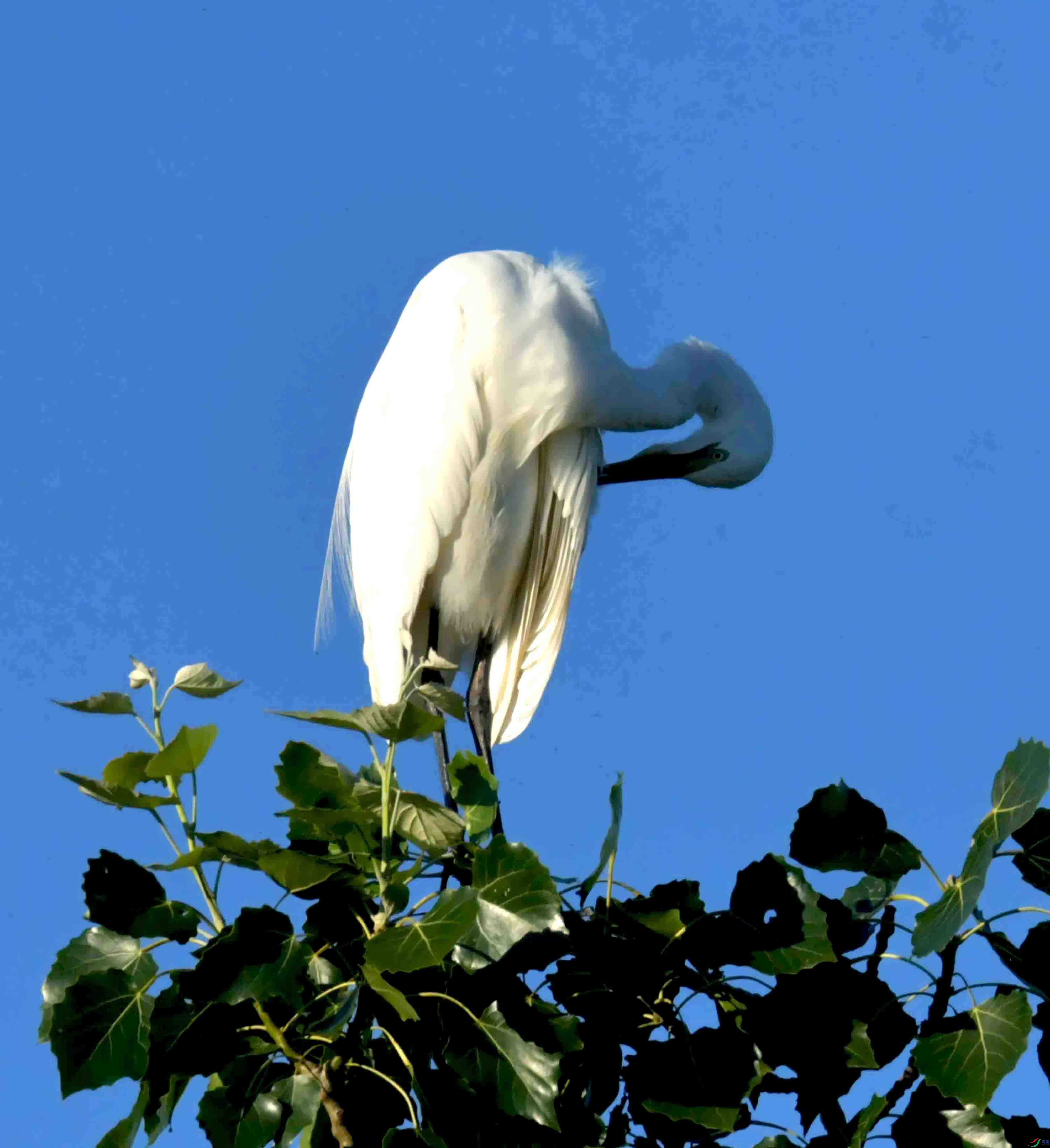 DSC_2501.JPG