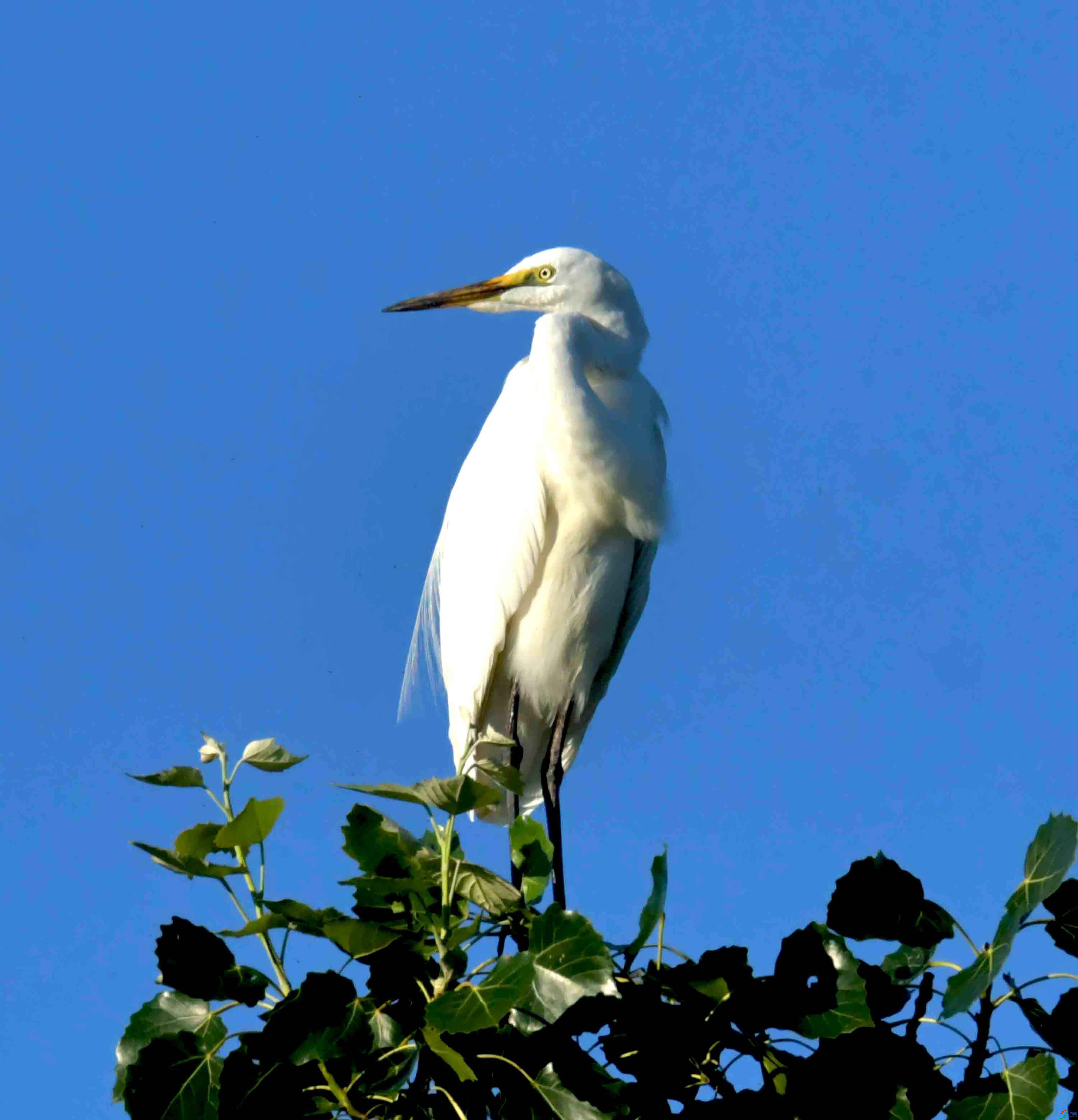 DSC_2502.JPG