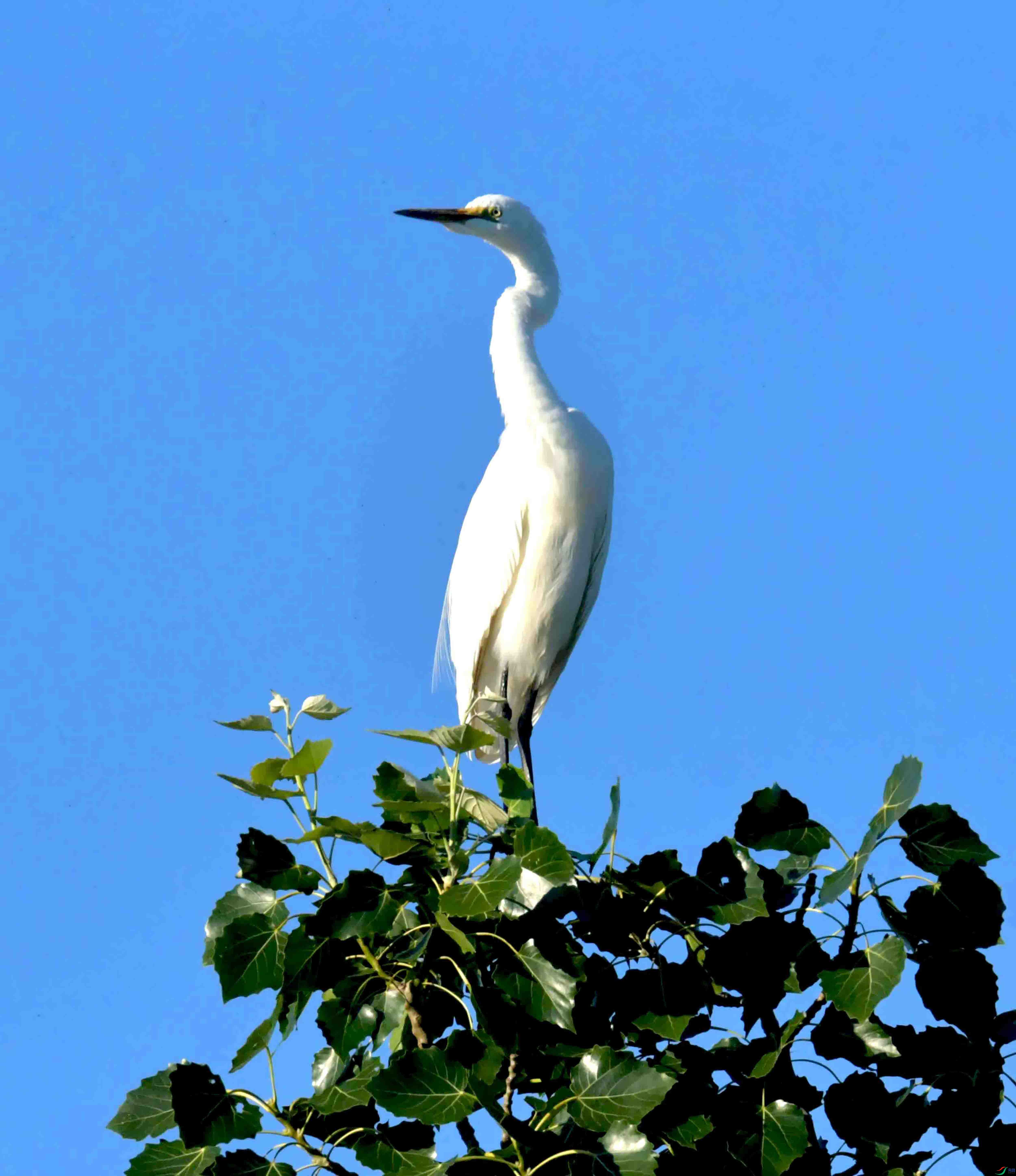 DSC_2513.JPG