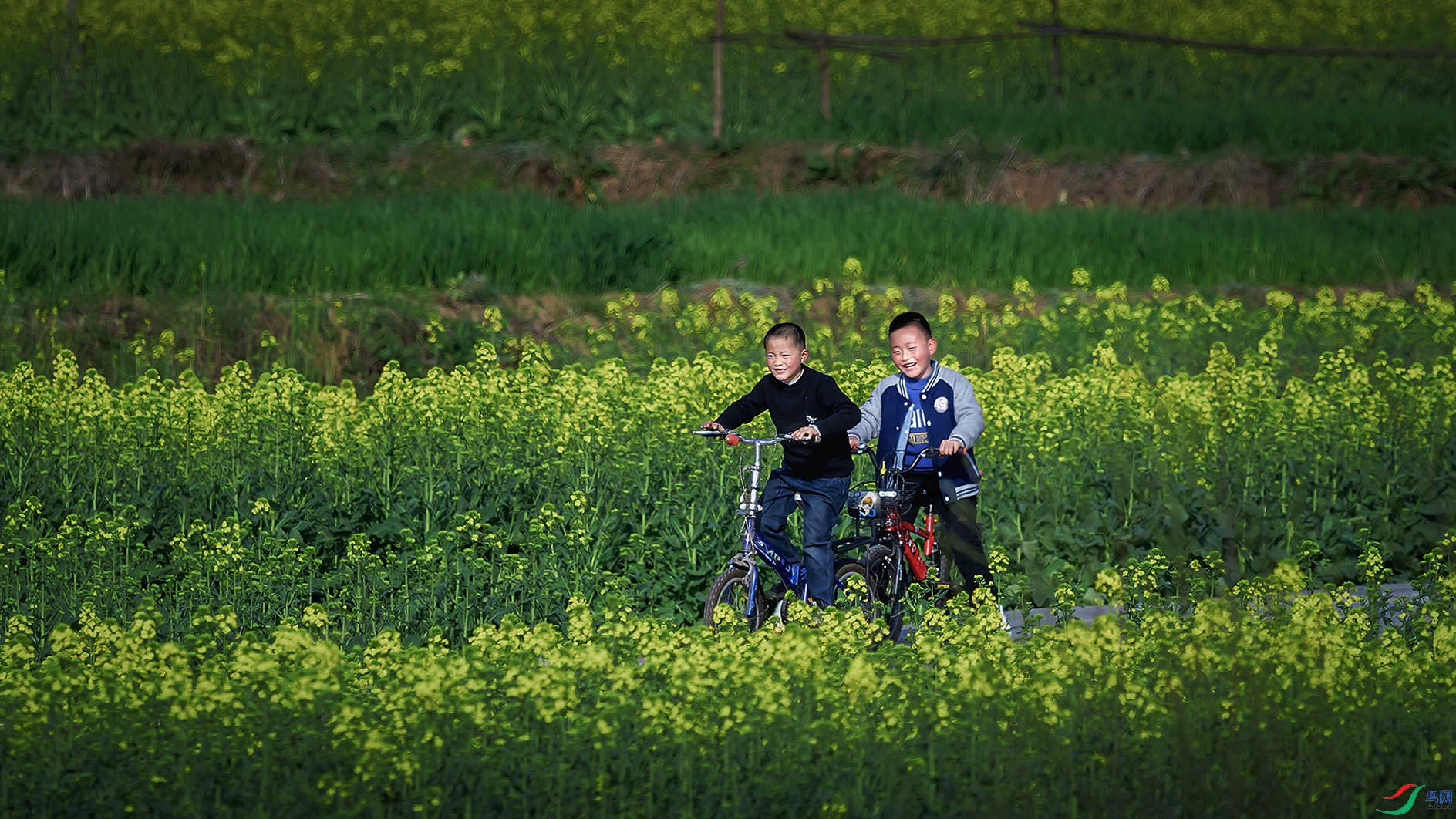 �������������ء�