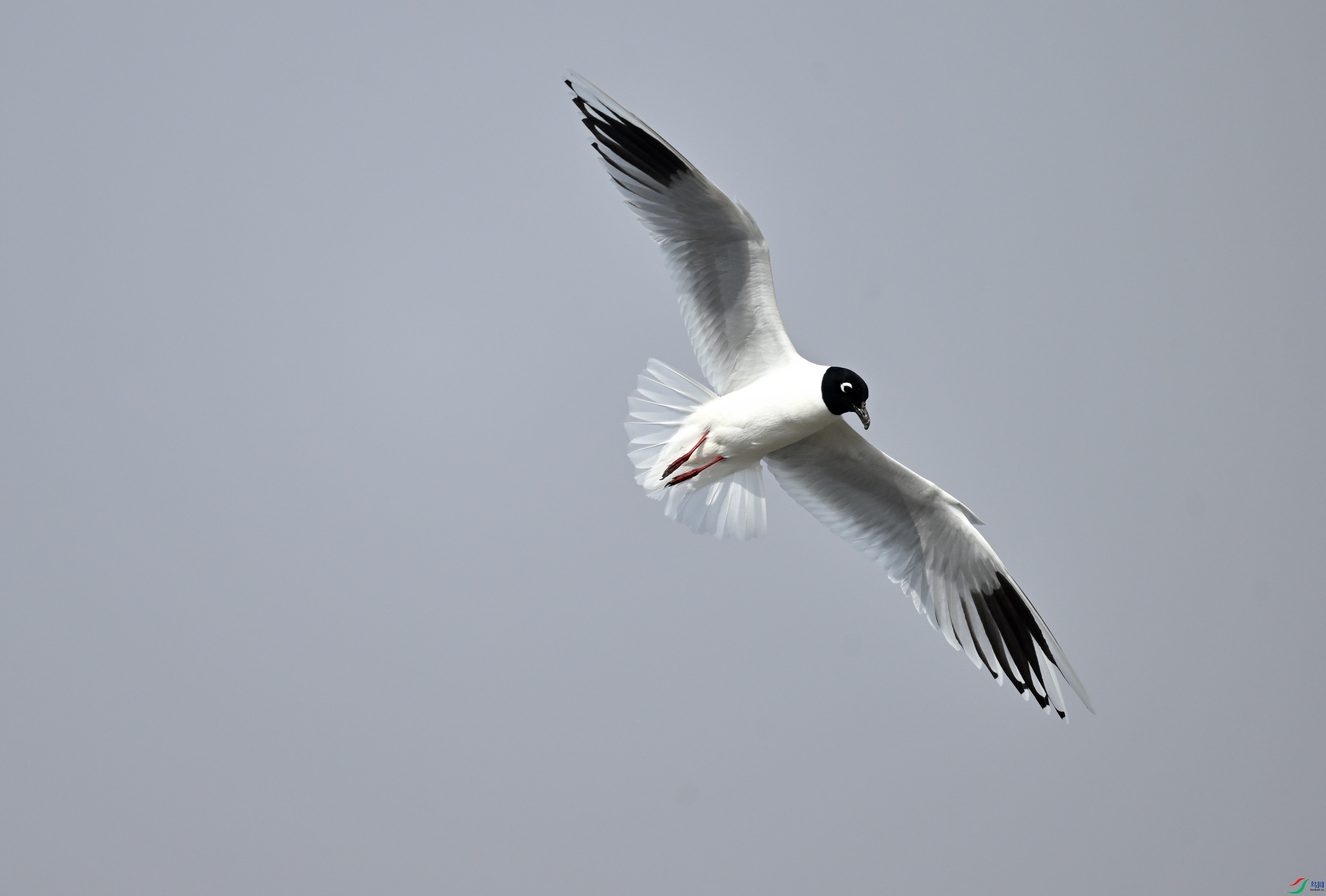 DSC_0881_02.JPG