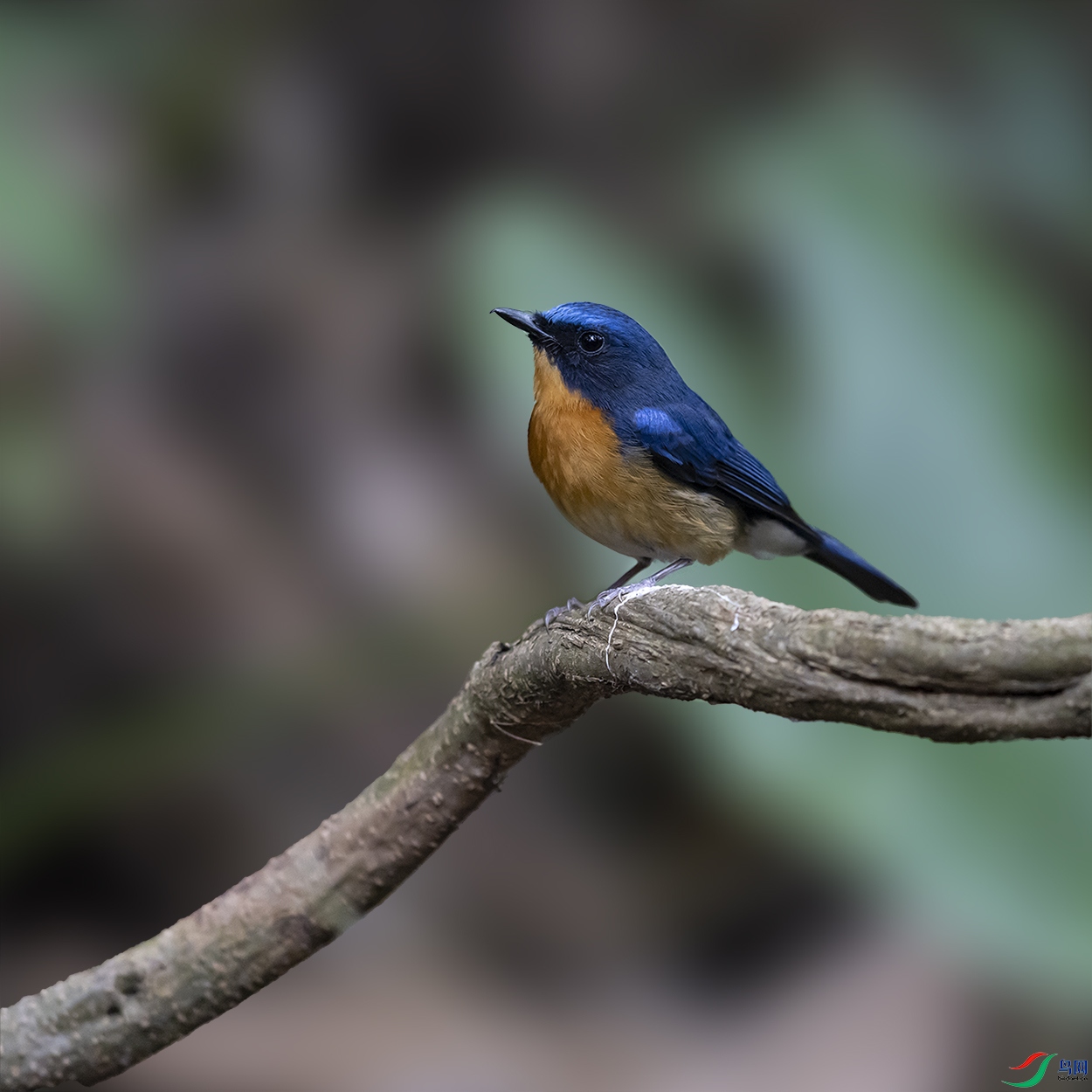 2F5A5461 ����.jpg22.jpg