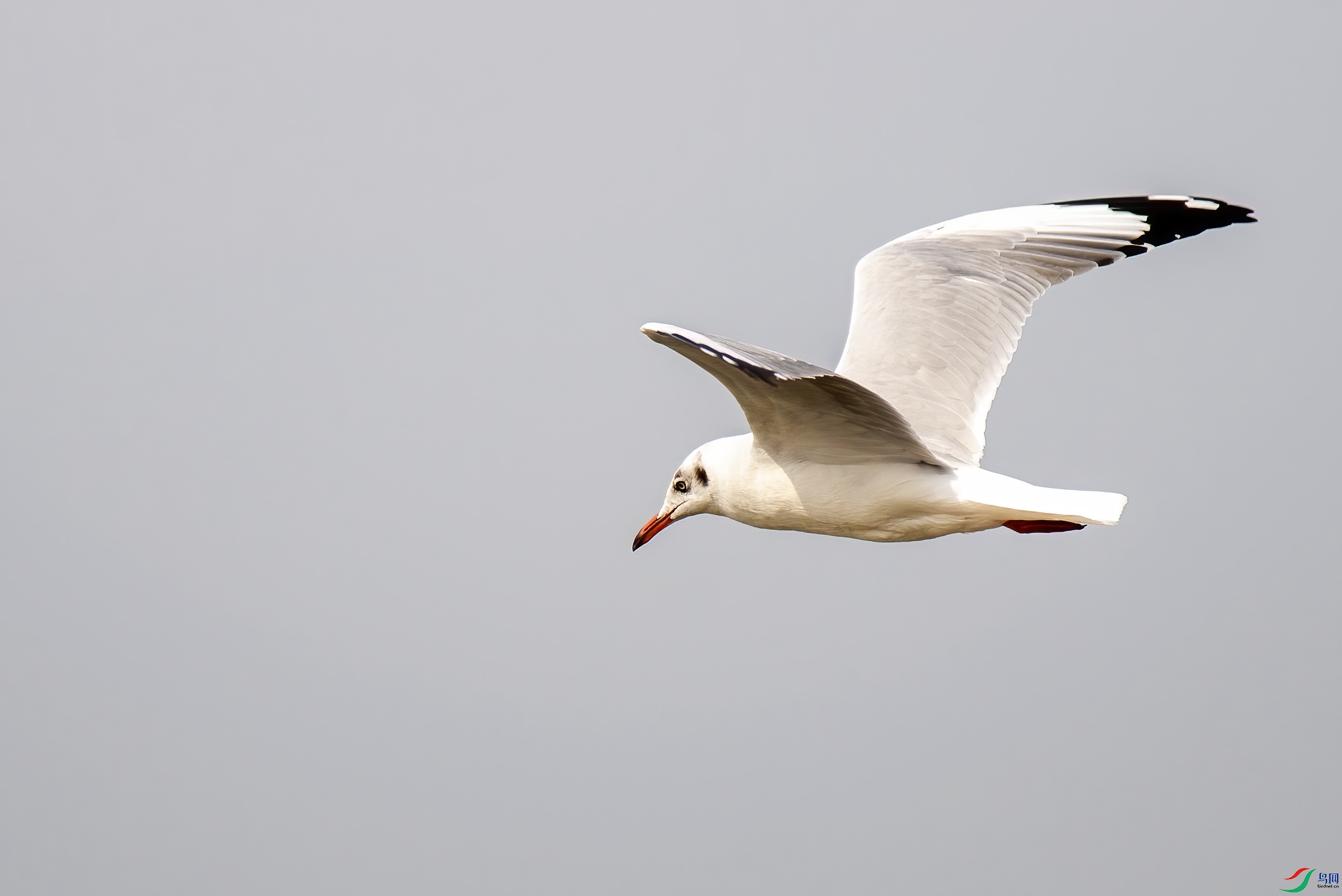 DSC_1763.jpg