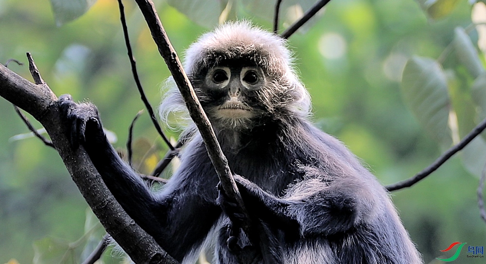 ����2023-04-24 ����10.40.45-9.jpg