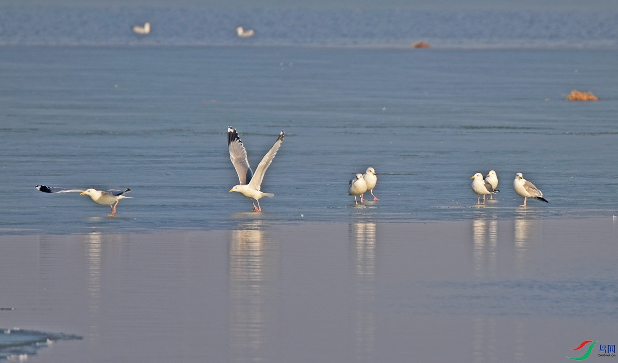 DSC_7335.jpg