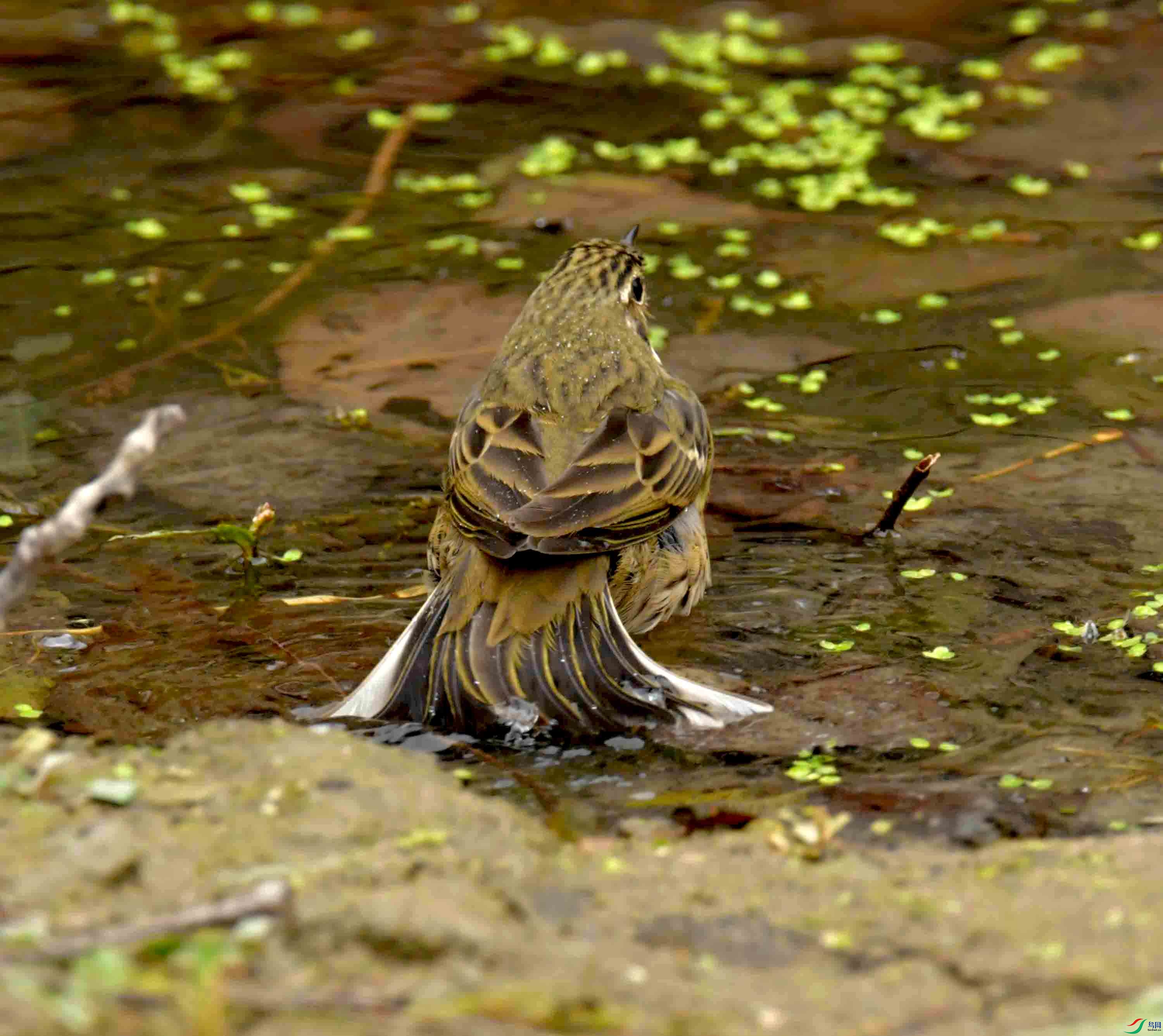 DSC_1377.JPG