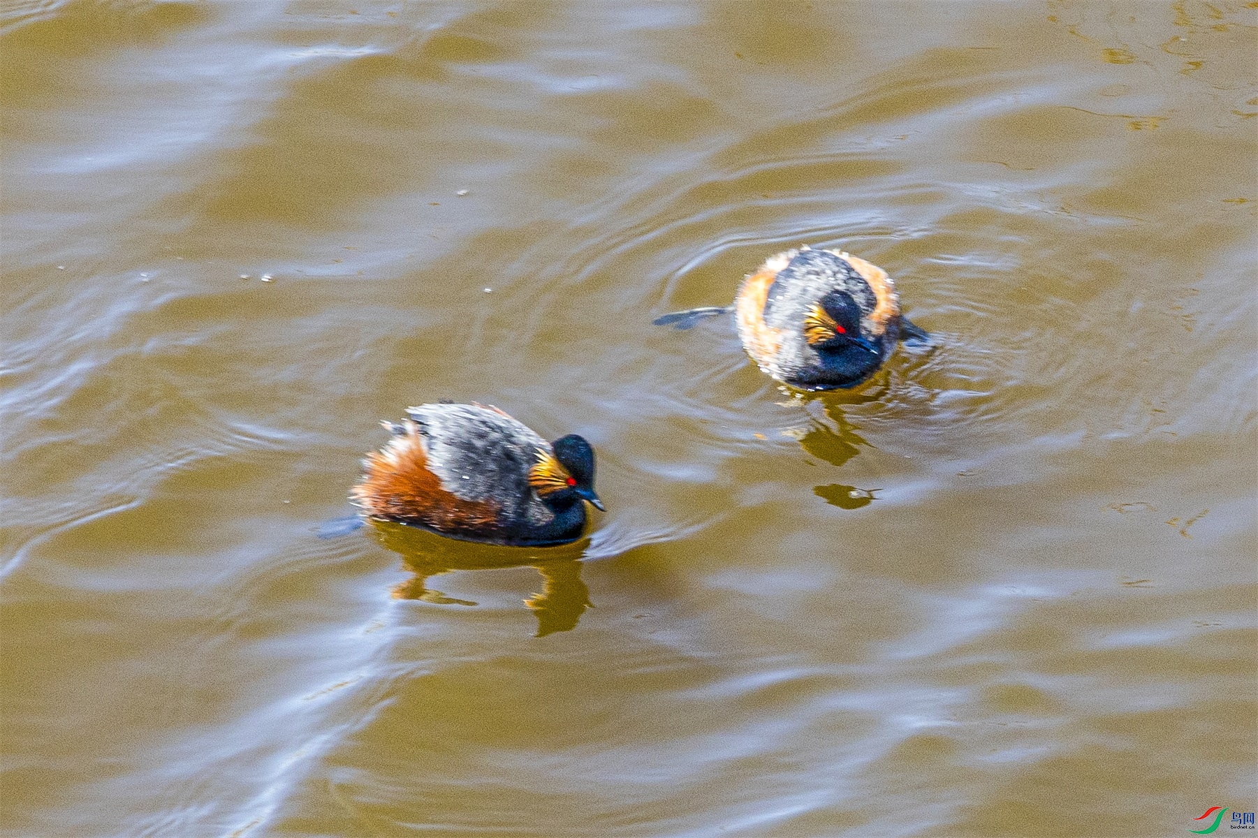 1K3A5654 ����1.jpg