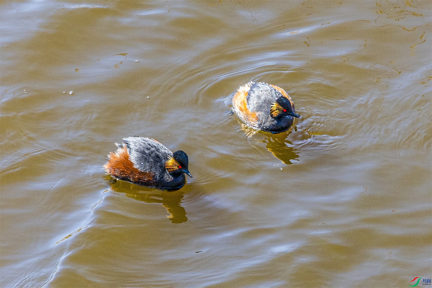 1K3A5656 ����1.jpg