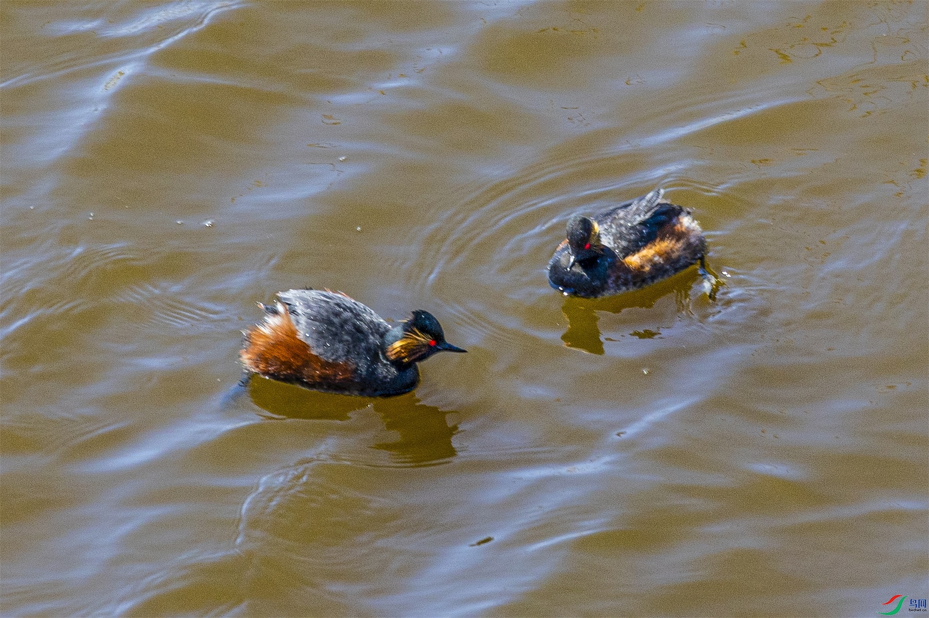 1K3A5646 ����1.jpg