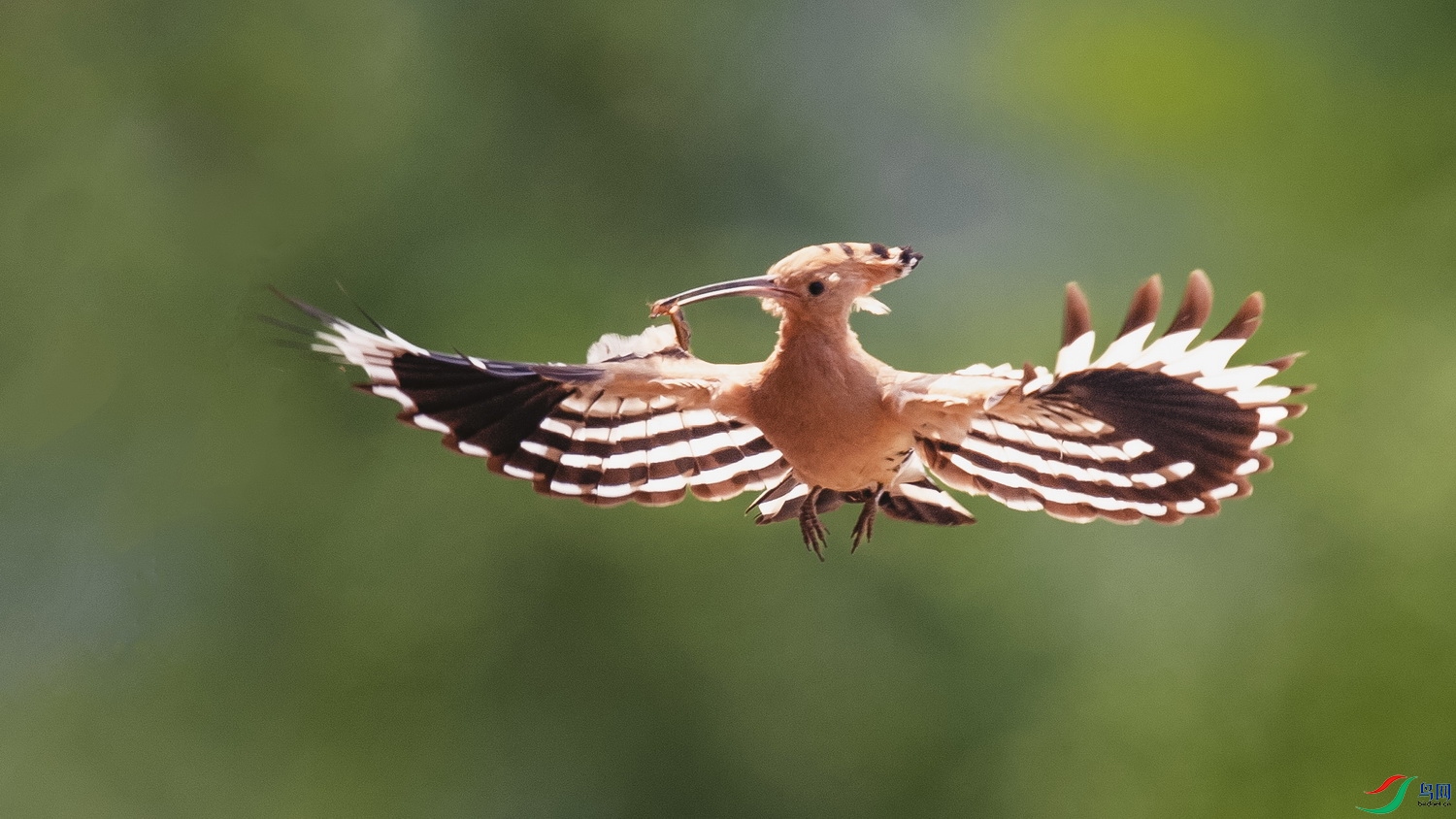 XSX_1517 ����.jpg