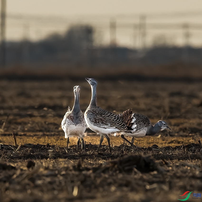 A46I8824 ���� 2.jpg22.jpg