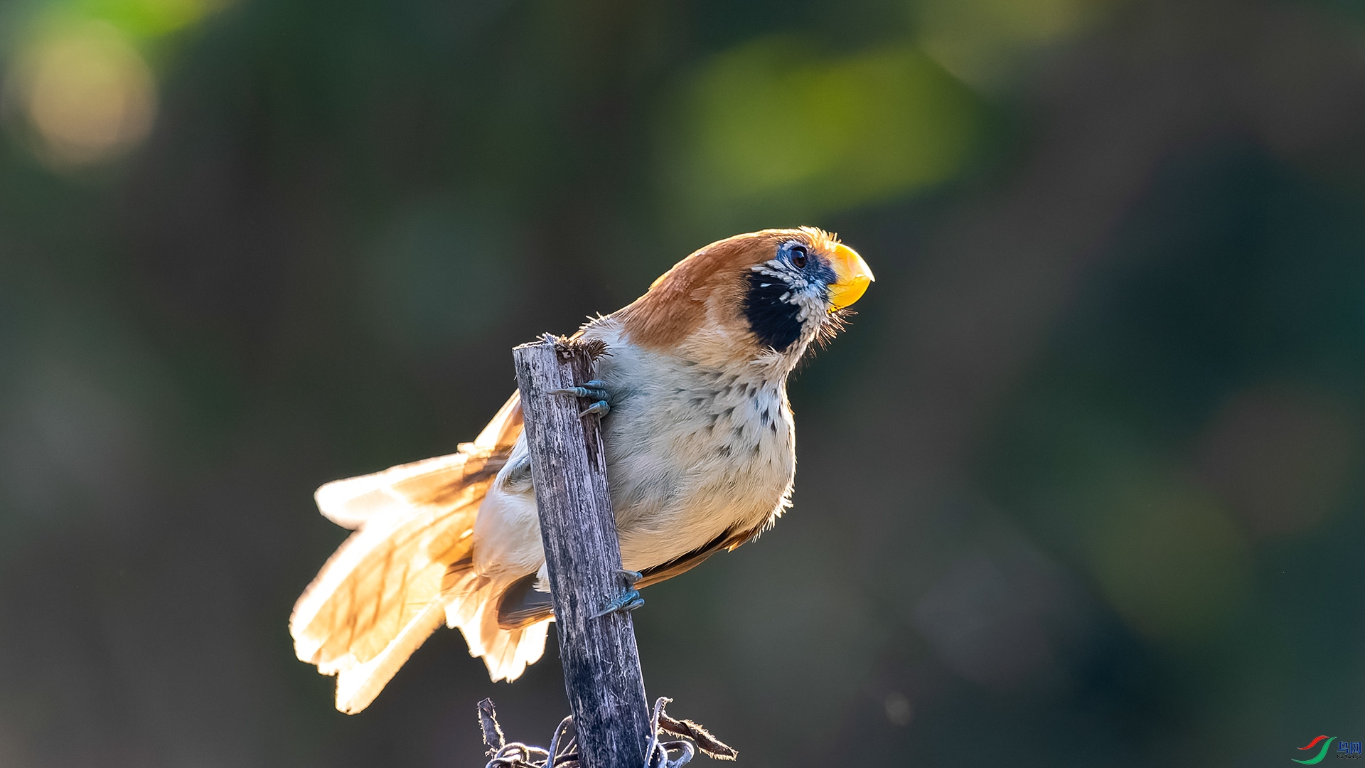 DSC_0287.jpg