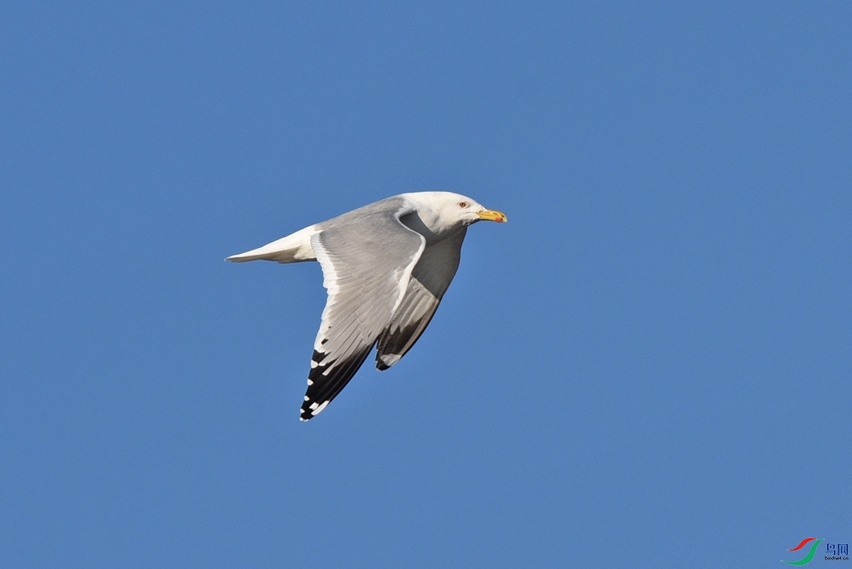 DSC_0295.jpg