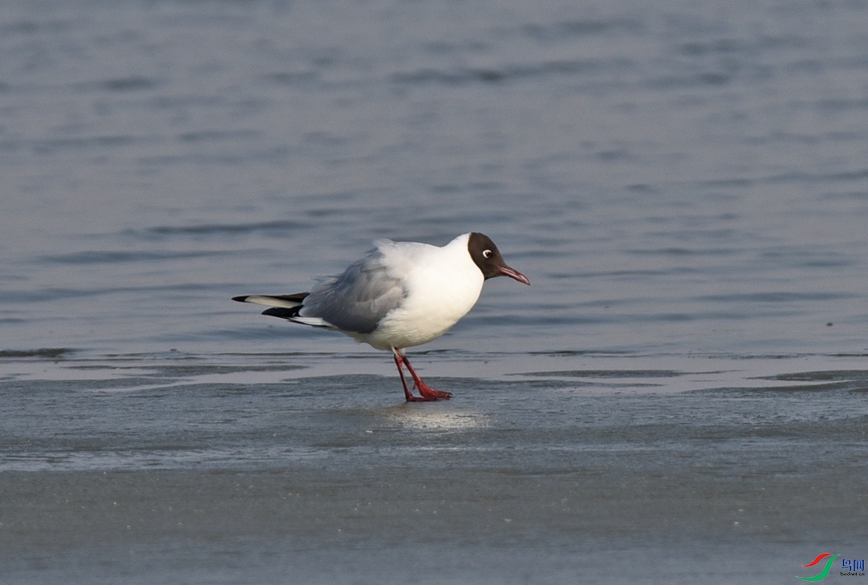 DSC_7458.jpg
