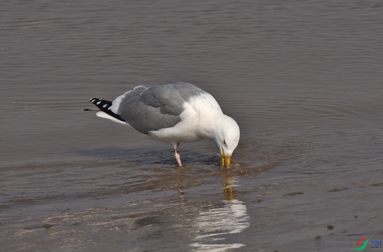 DSC_6265.jpg