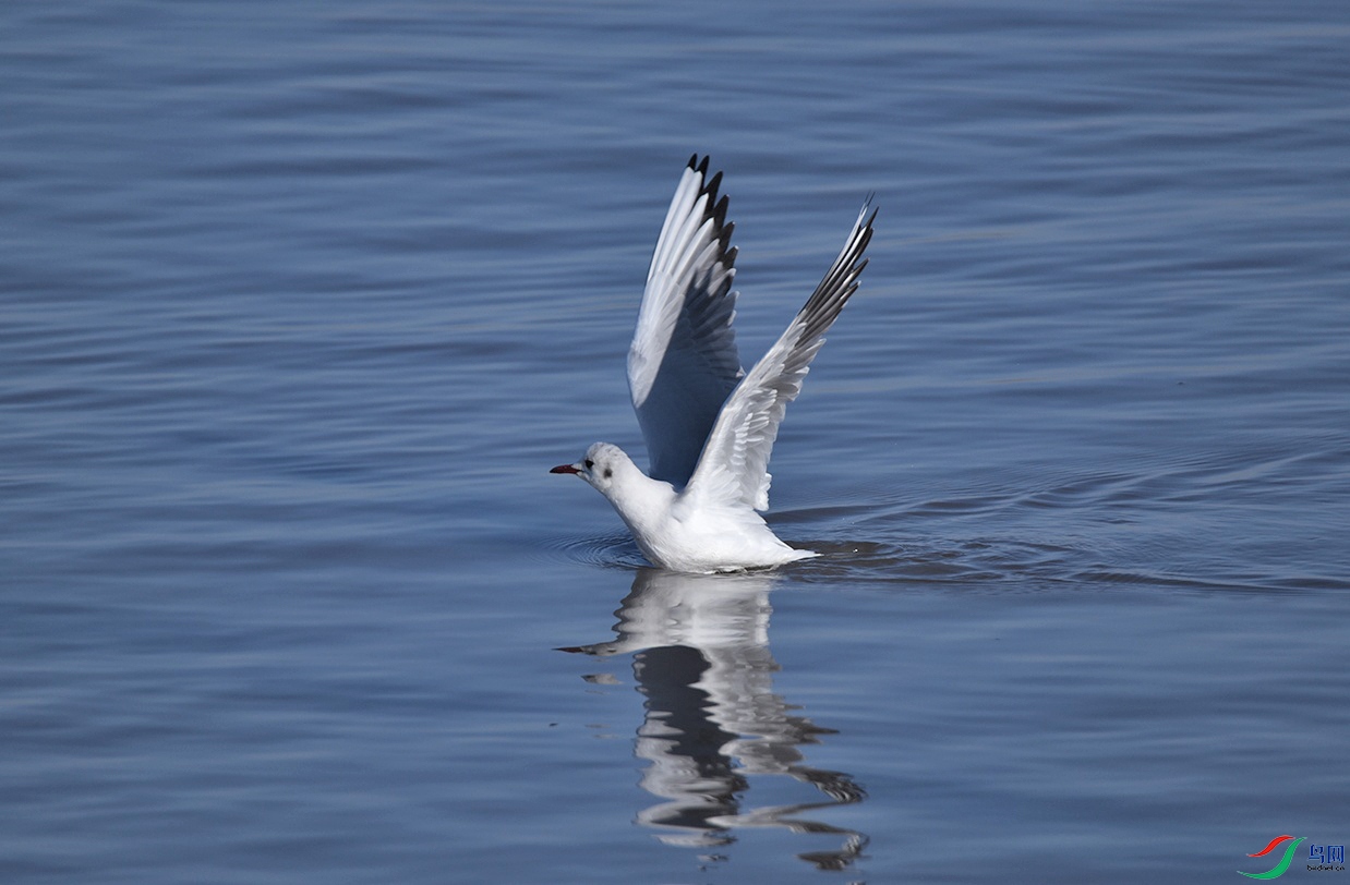 DSC_9422.jpg