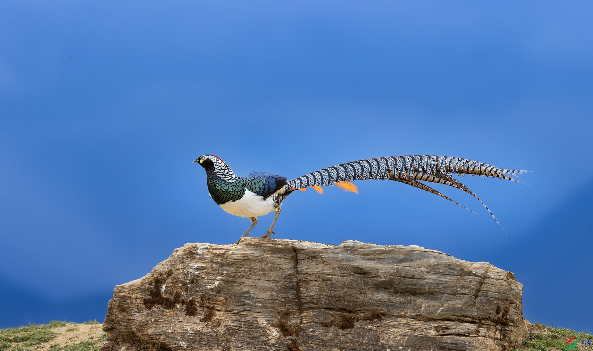 AA5I4076 ����.jpg