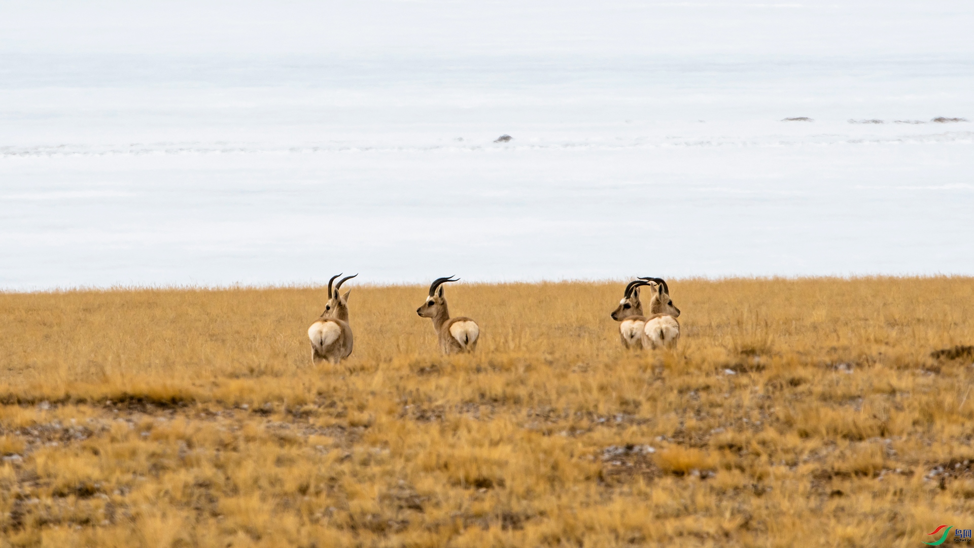 _DSC4018_����.jpg
