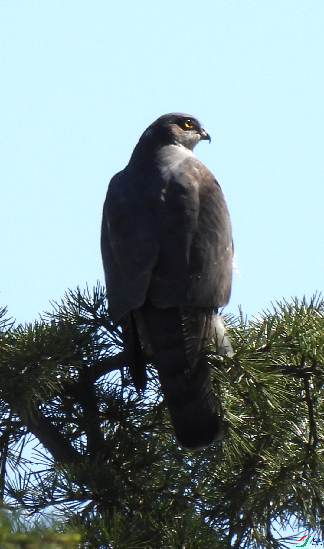 487ȸӥ20230407_133426.jpg