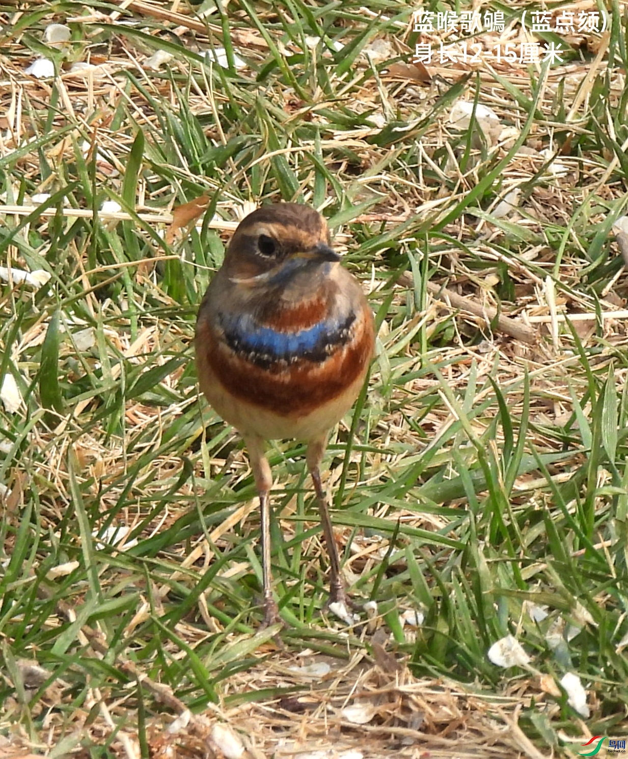 IMG_20230329_201248.jpg