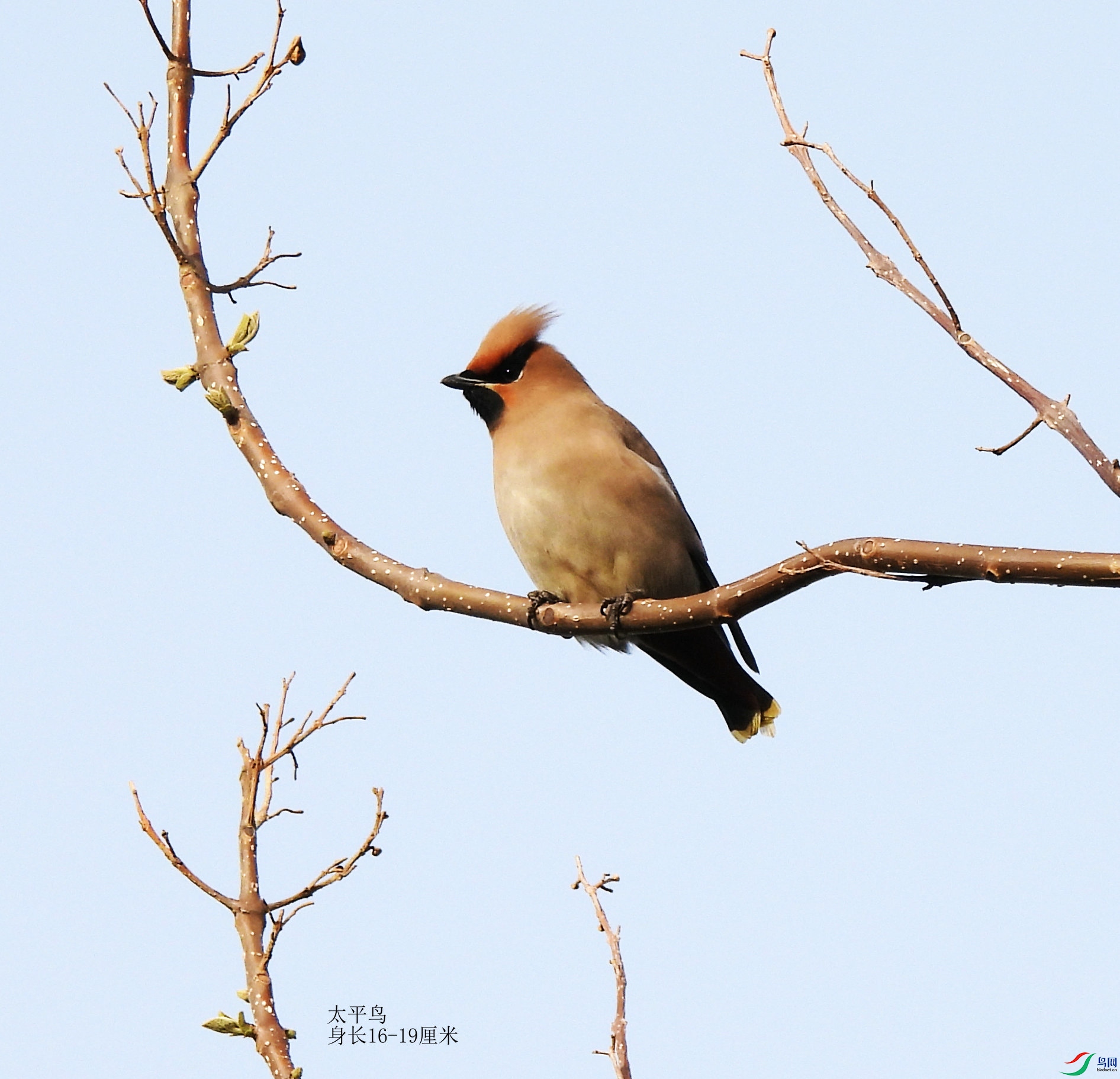 DSCN5333.JPG