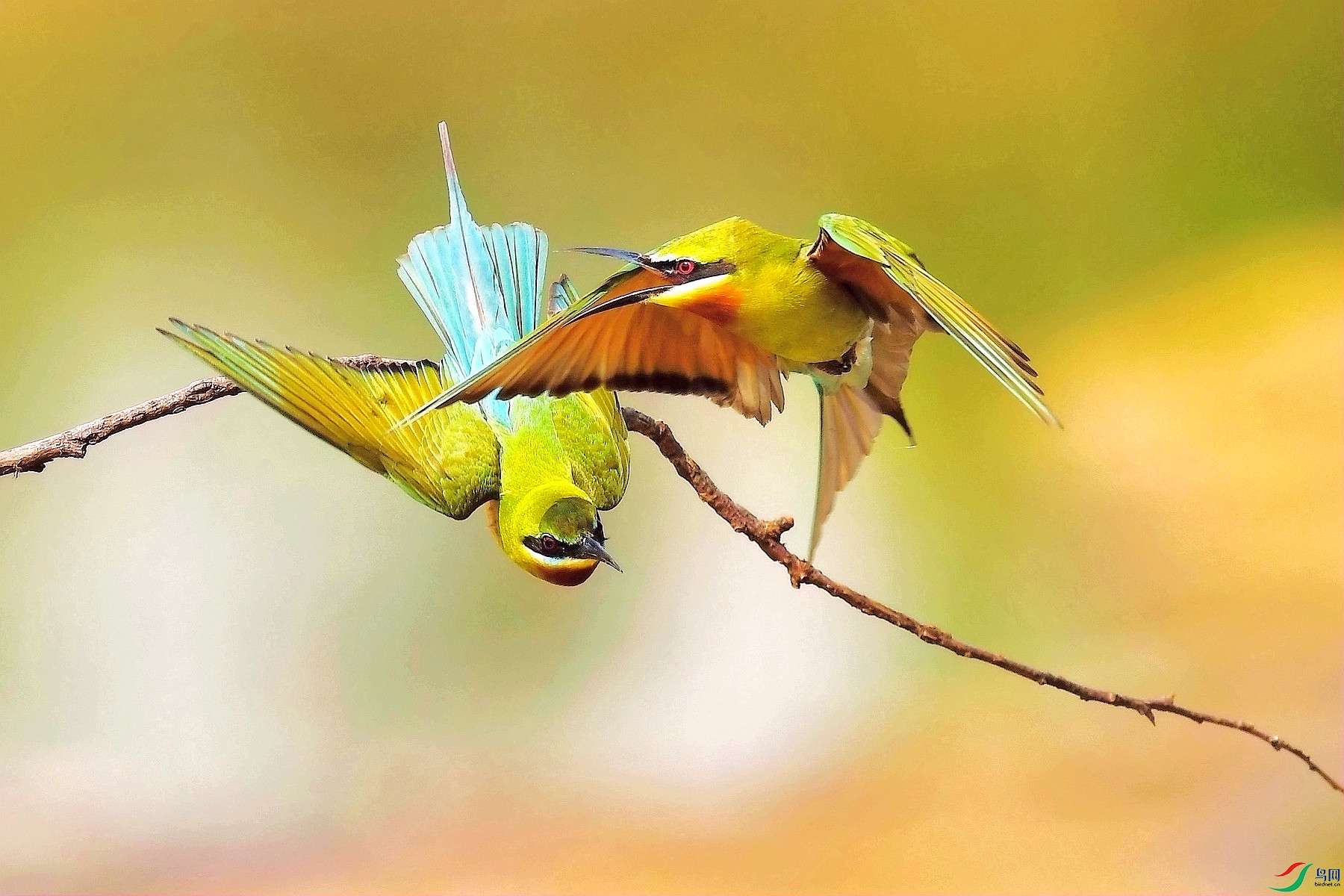 DSC 5569_����.jpg