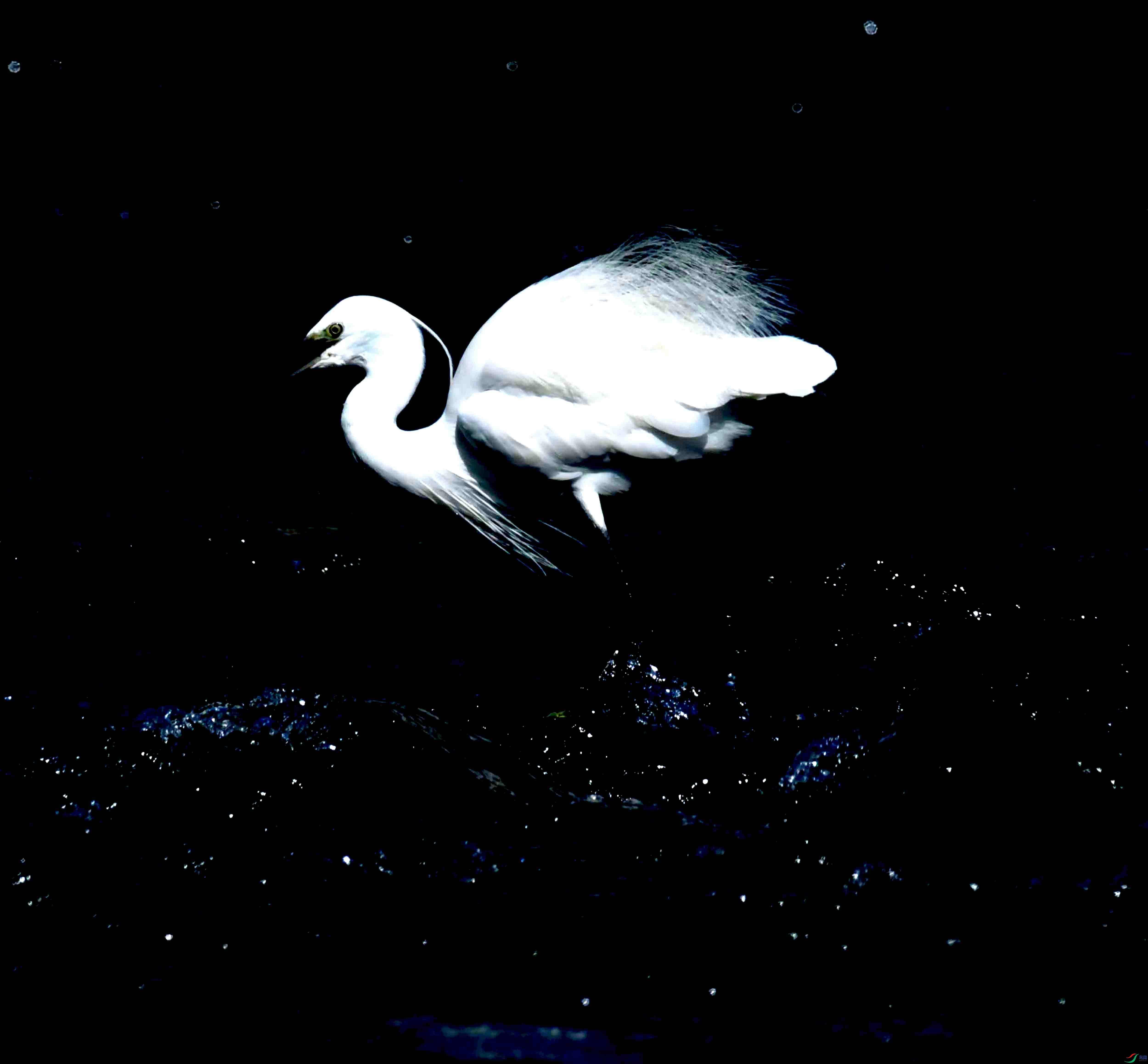 DSC_4346.JPG