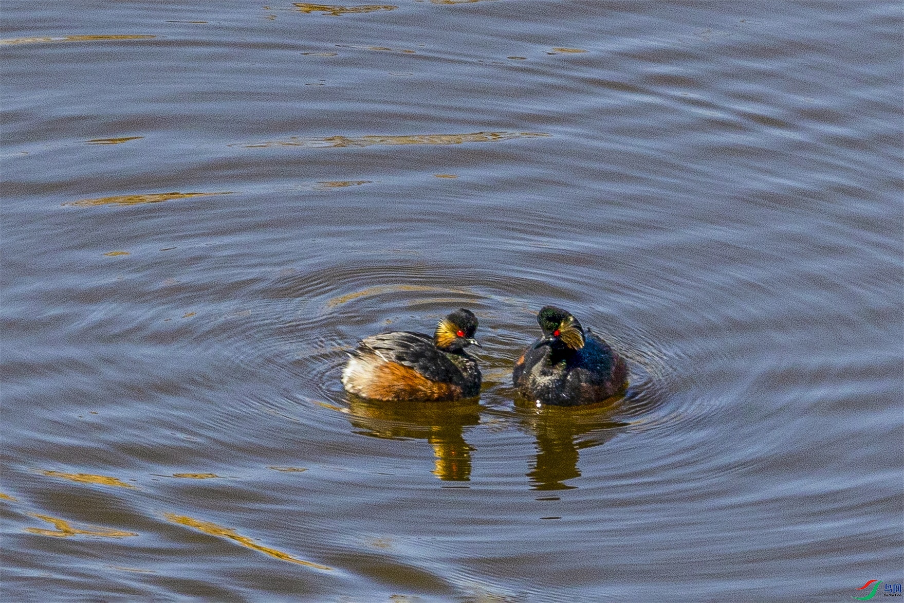 1K3A4858 ����1.jpg