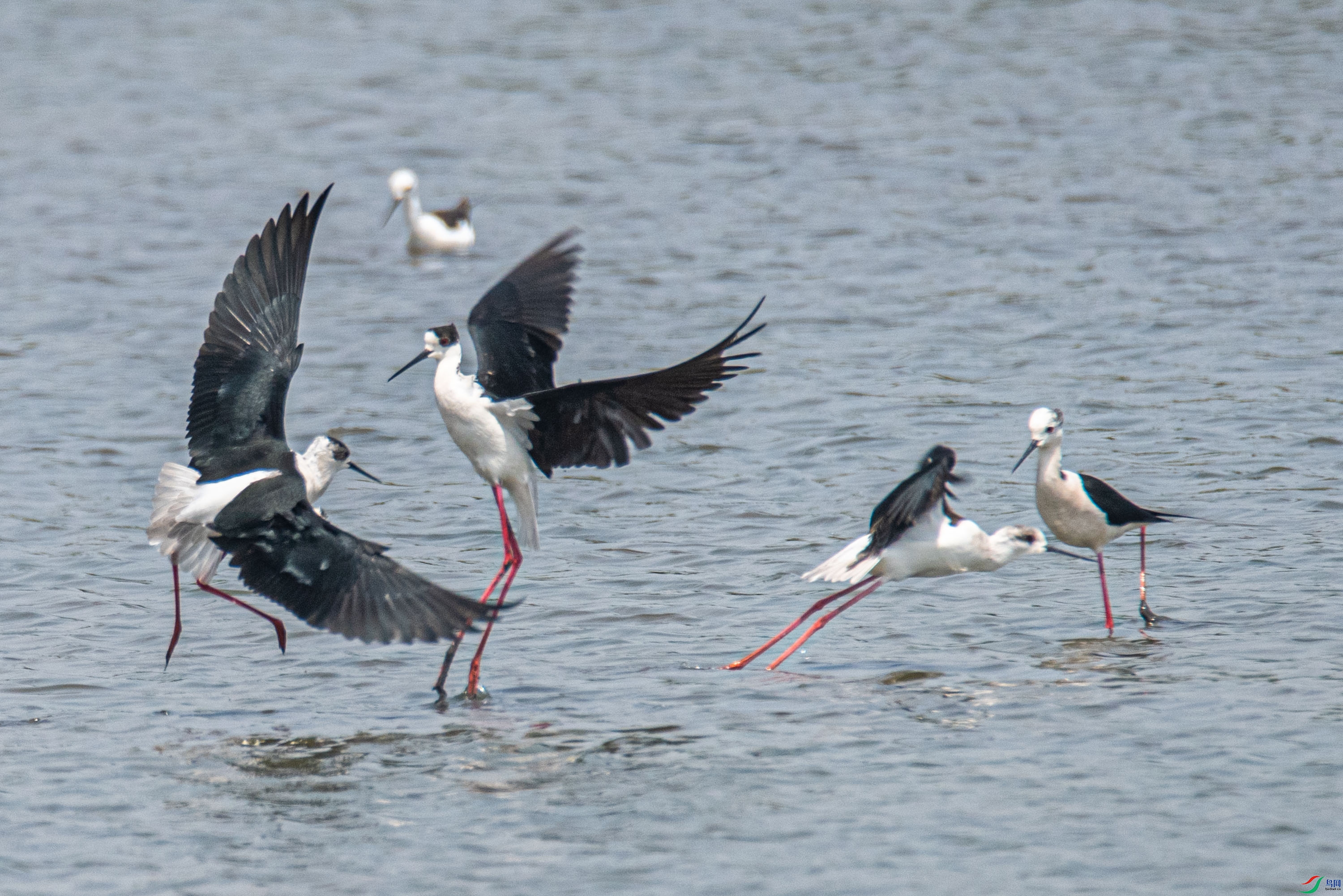 DSC_9589-2.jpg