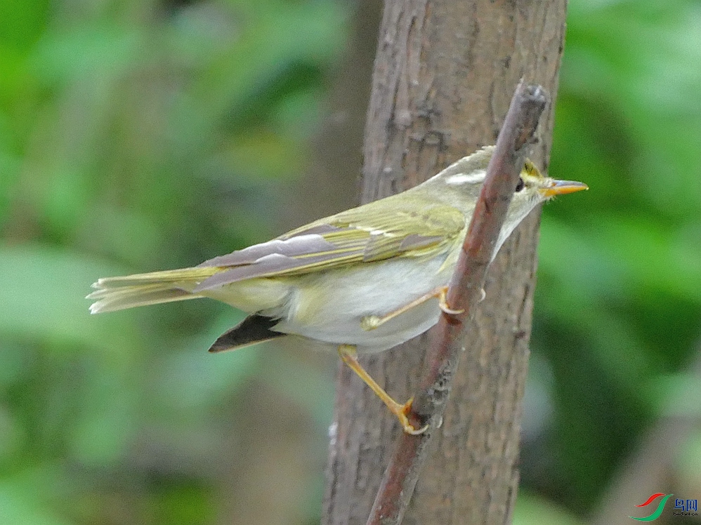 P9540044.JPG