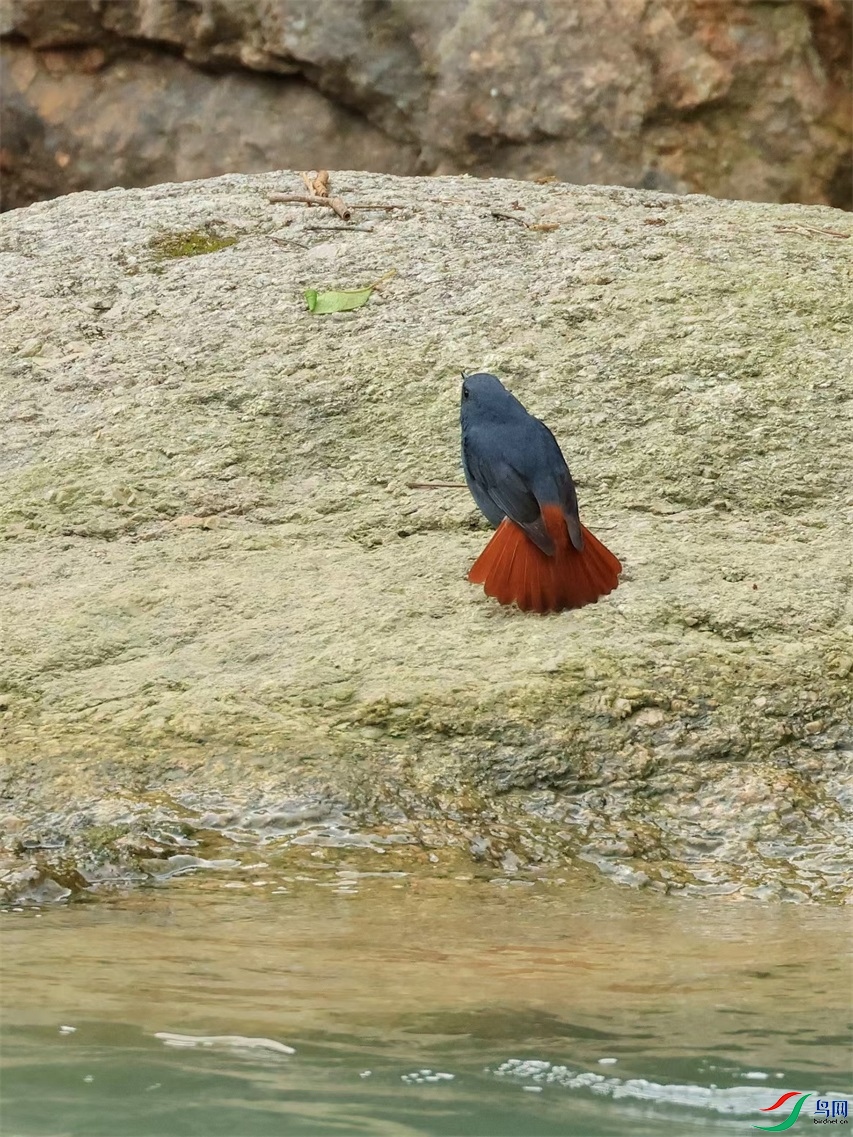 ����