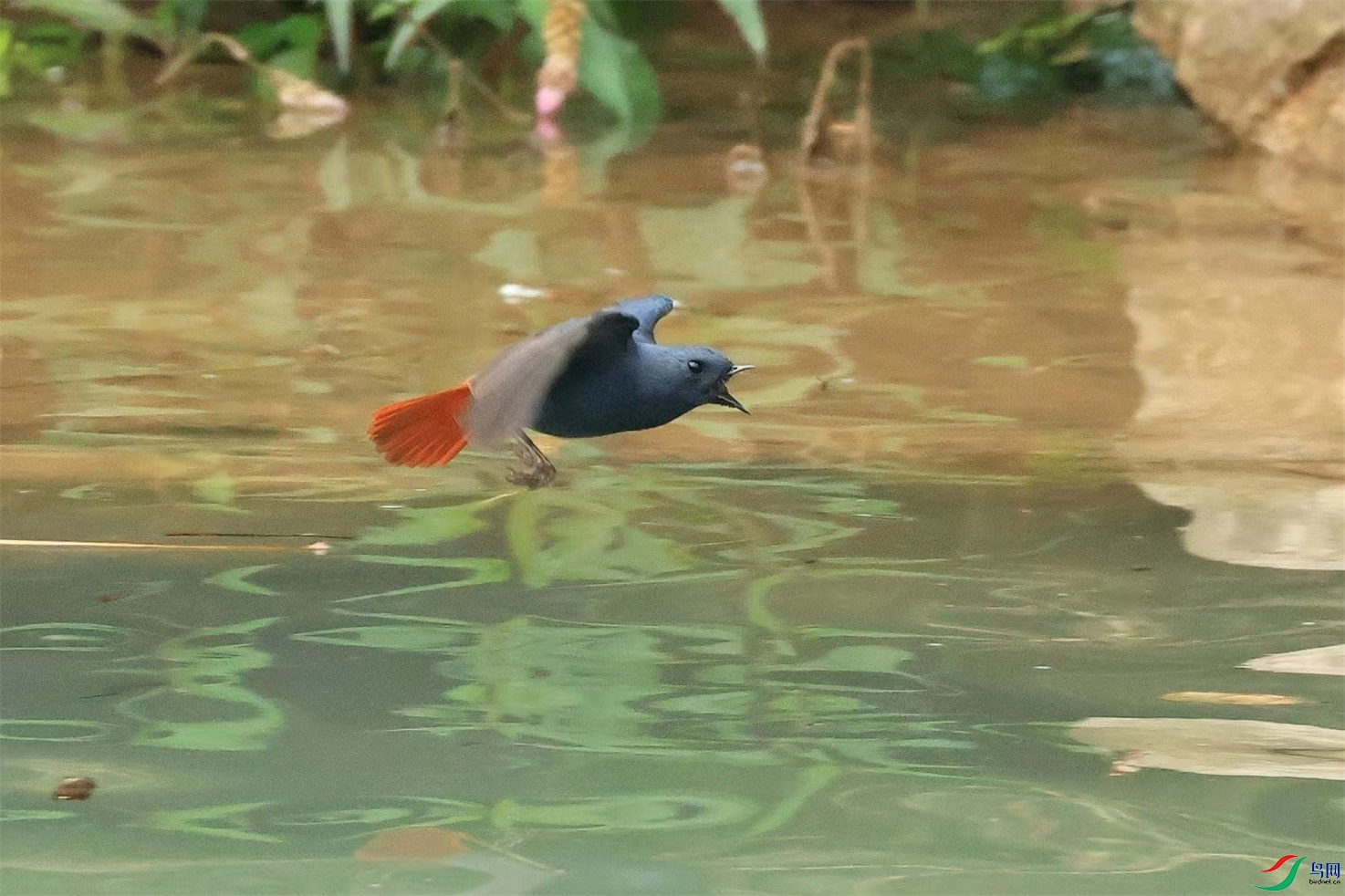�ź�