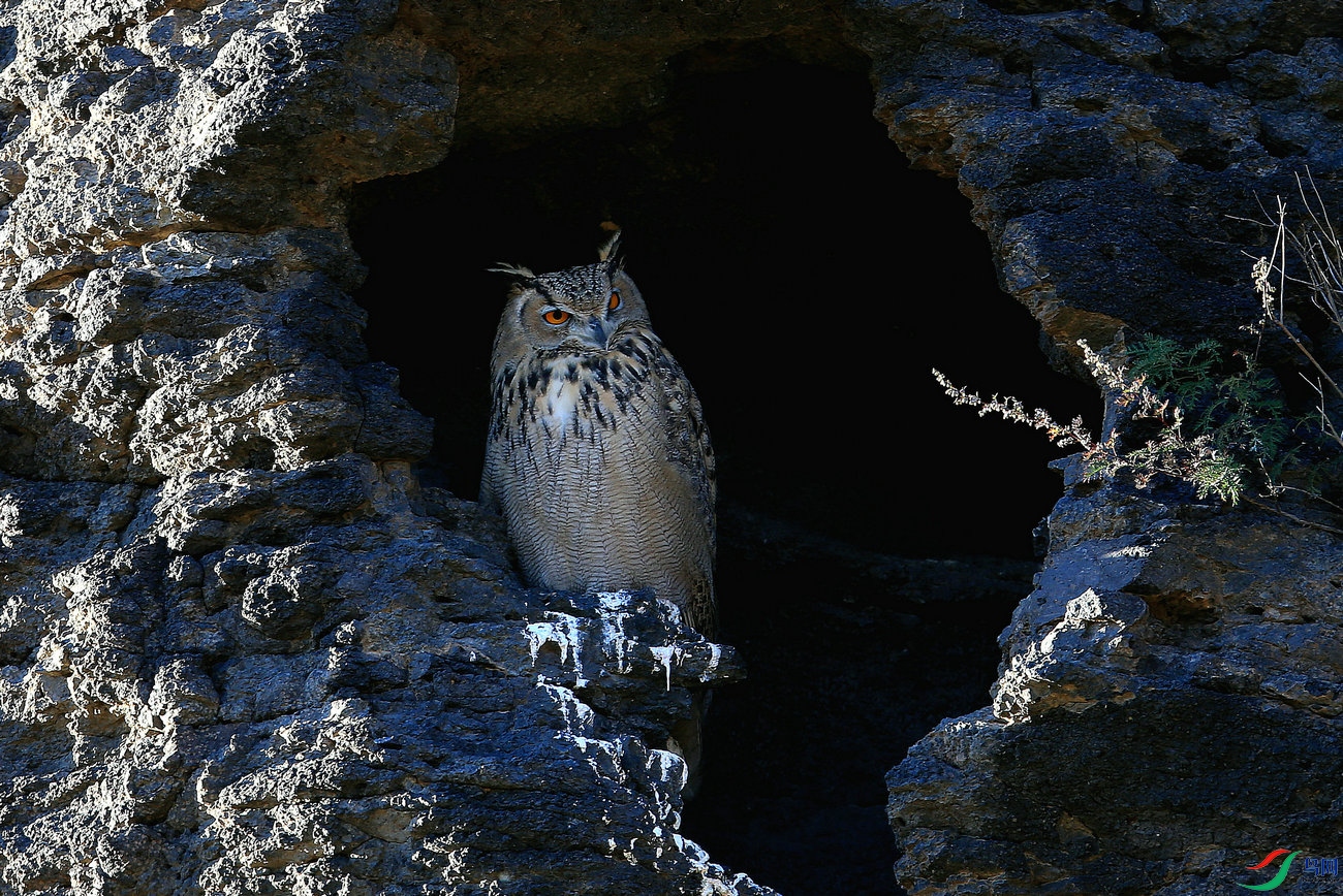 ����  1498A_����_����.jpg