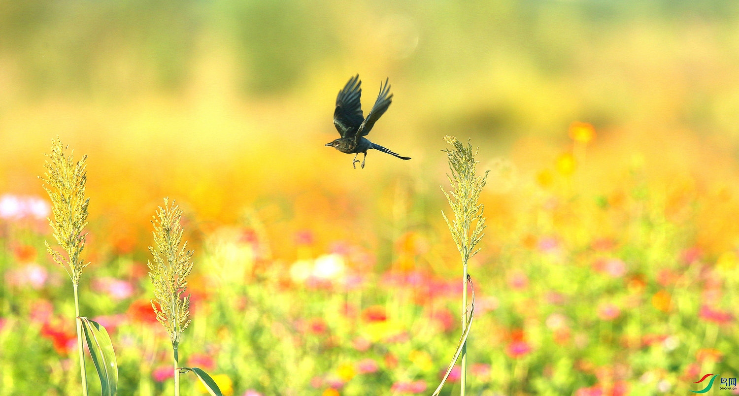 ����  8890����ɽ������ʱ.jpg